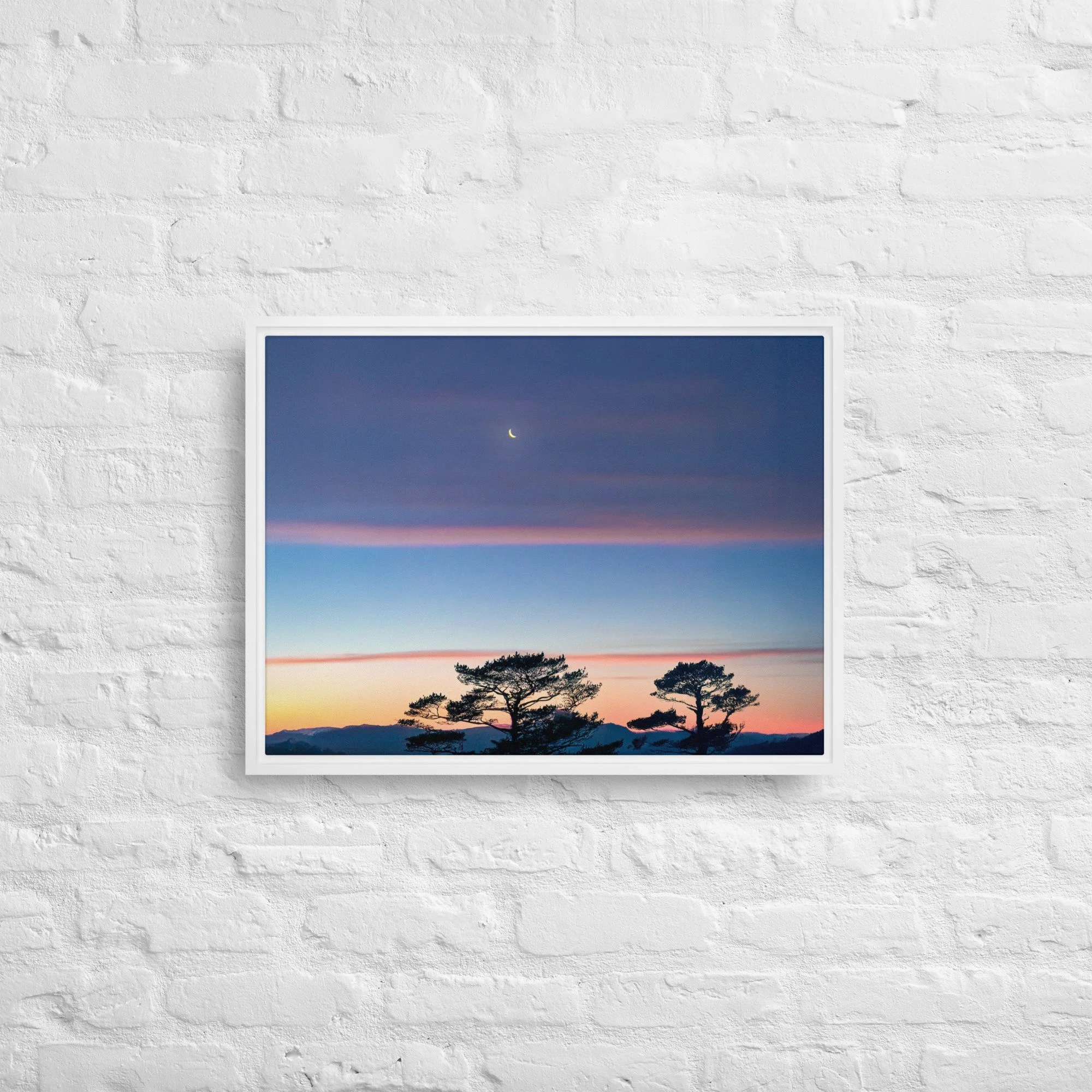 framed-canvas-(in)-white-18x24-front-68a9dd916dddc.jpg