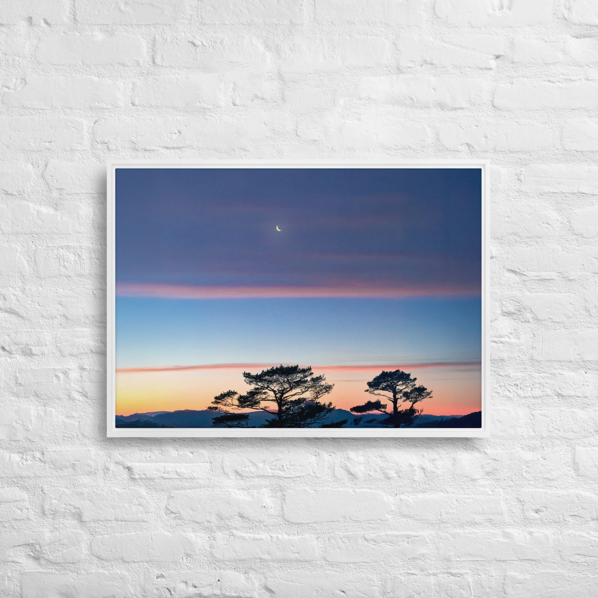 framed-canvas-(in)-white-20x28-front-68a9dd916de7f.jpg