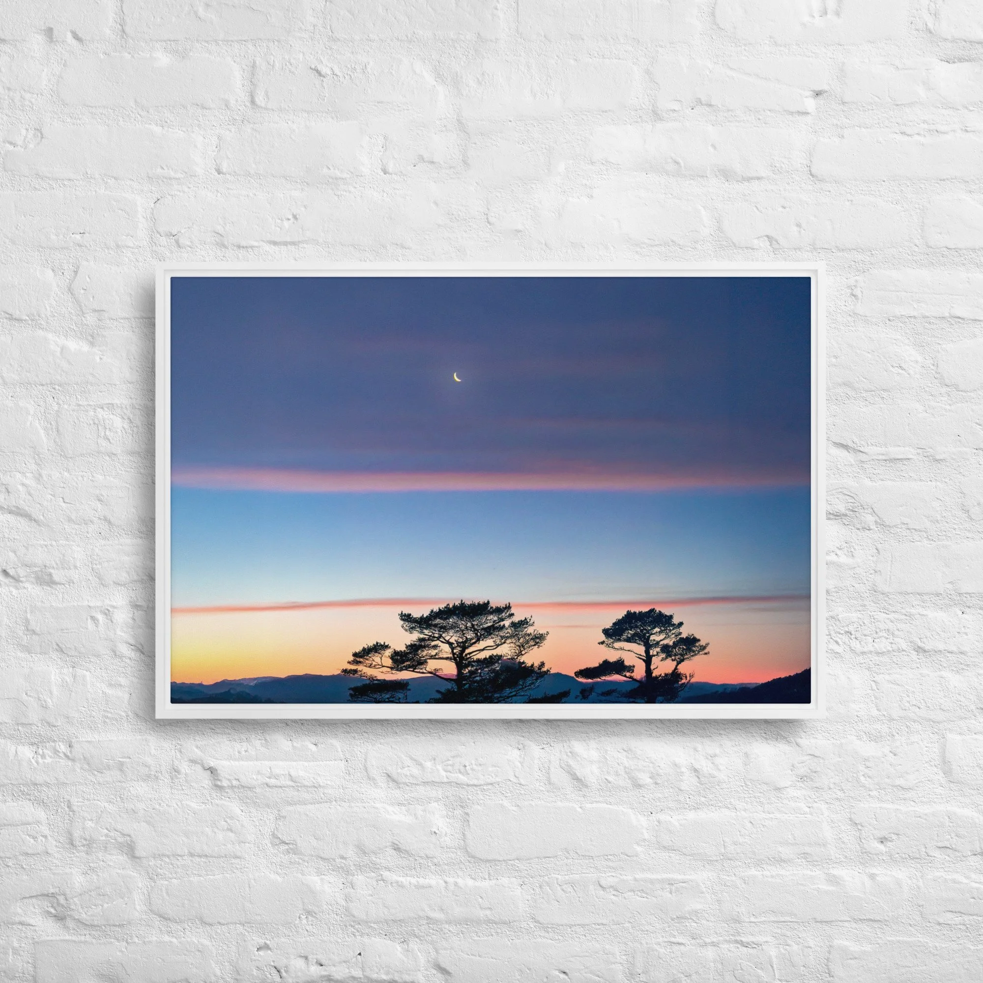 framed-canvas-(in)-white-20x30-front-68a9dd916df11.jpg