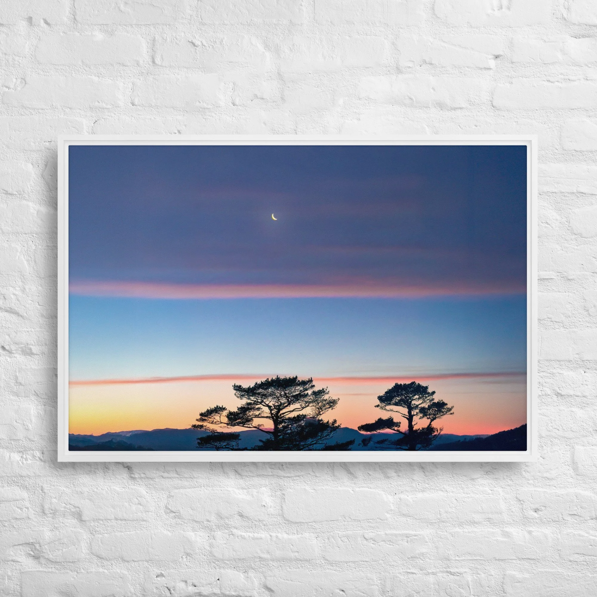 framed-canvas-(in)-white-24x36-front-68a9dd916e033.jpg