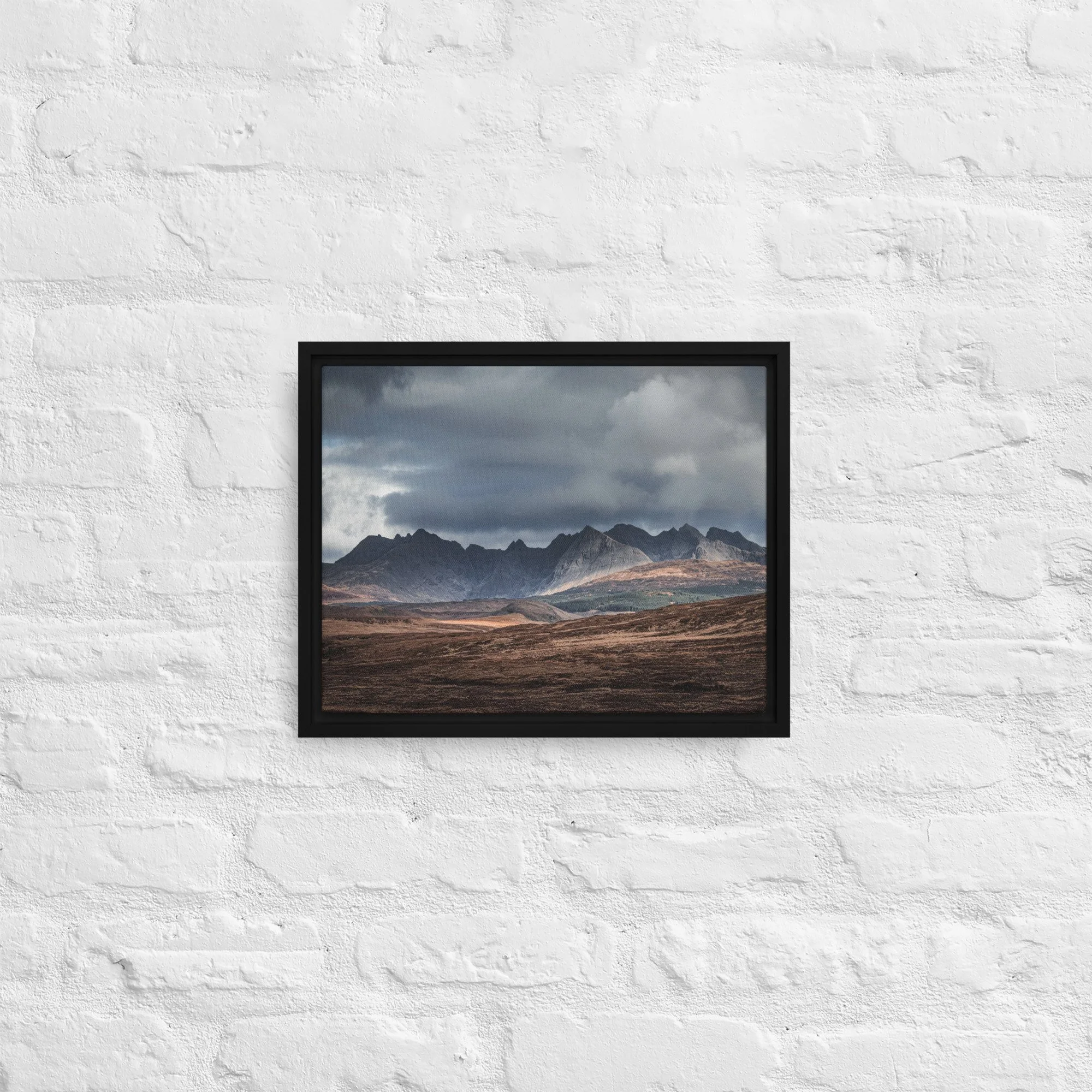 framed-canvas-(in)-black-11x14-front-68a9df603b039.jpg