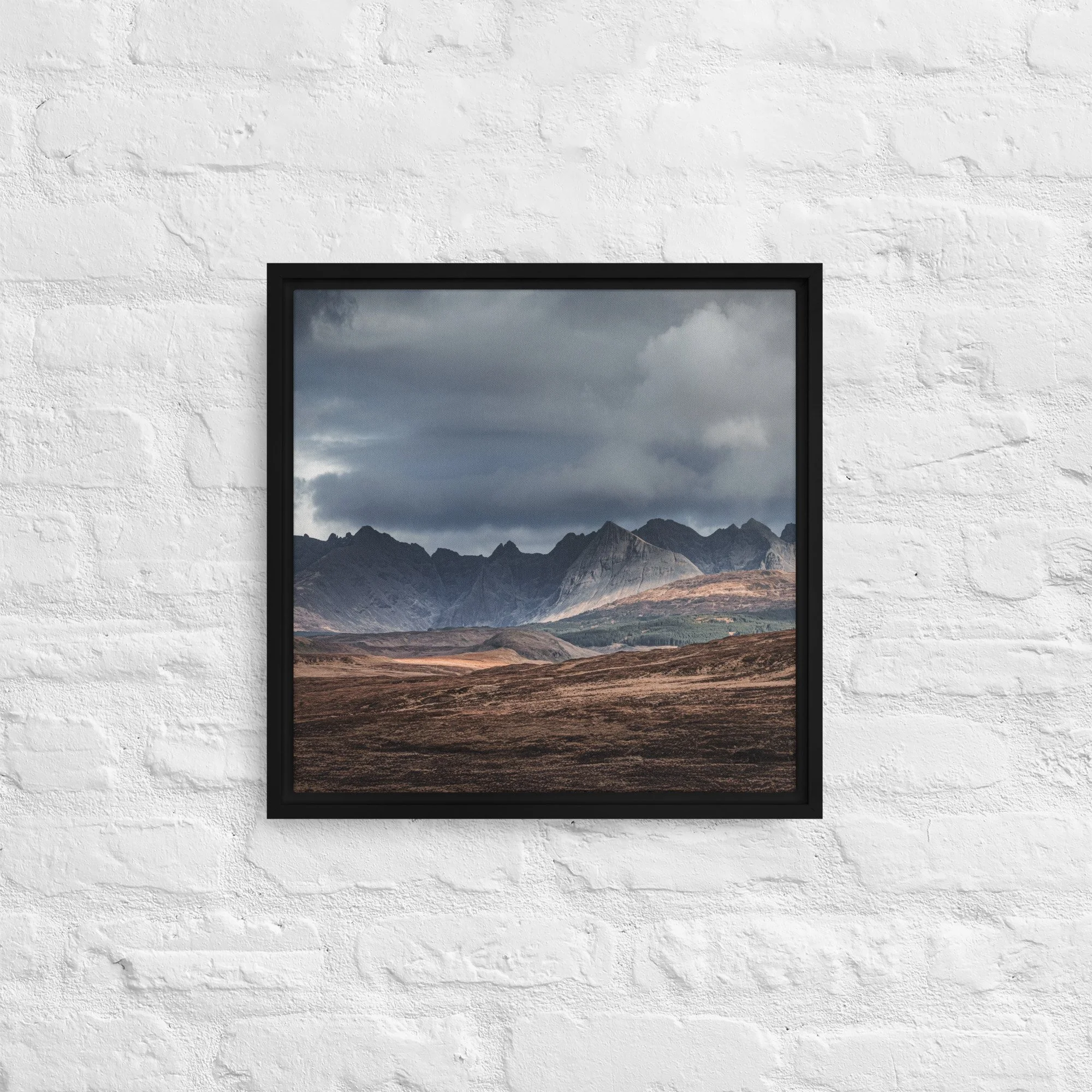 framed-canvas-(in)-black-16x16-front-68a9df603b1a6.jpg