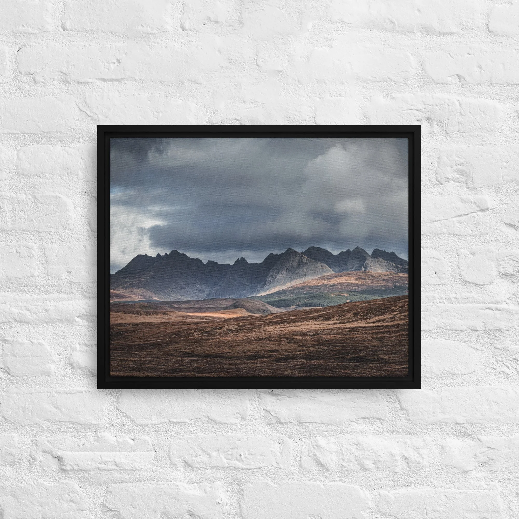 framed-canvas-(in)-black-16x20-front-68a9df603b1ff.jpg