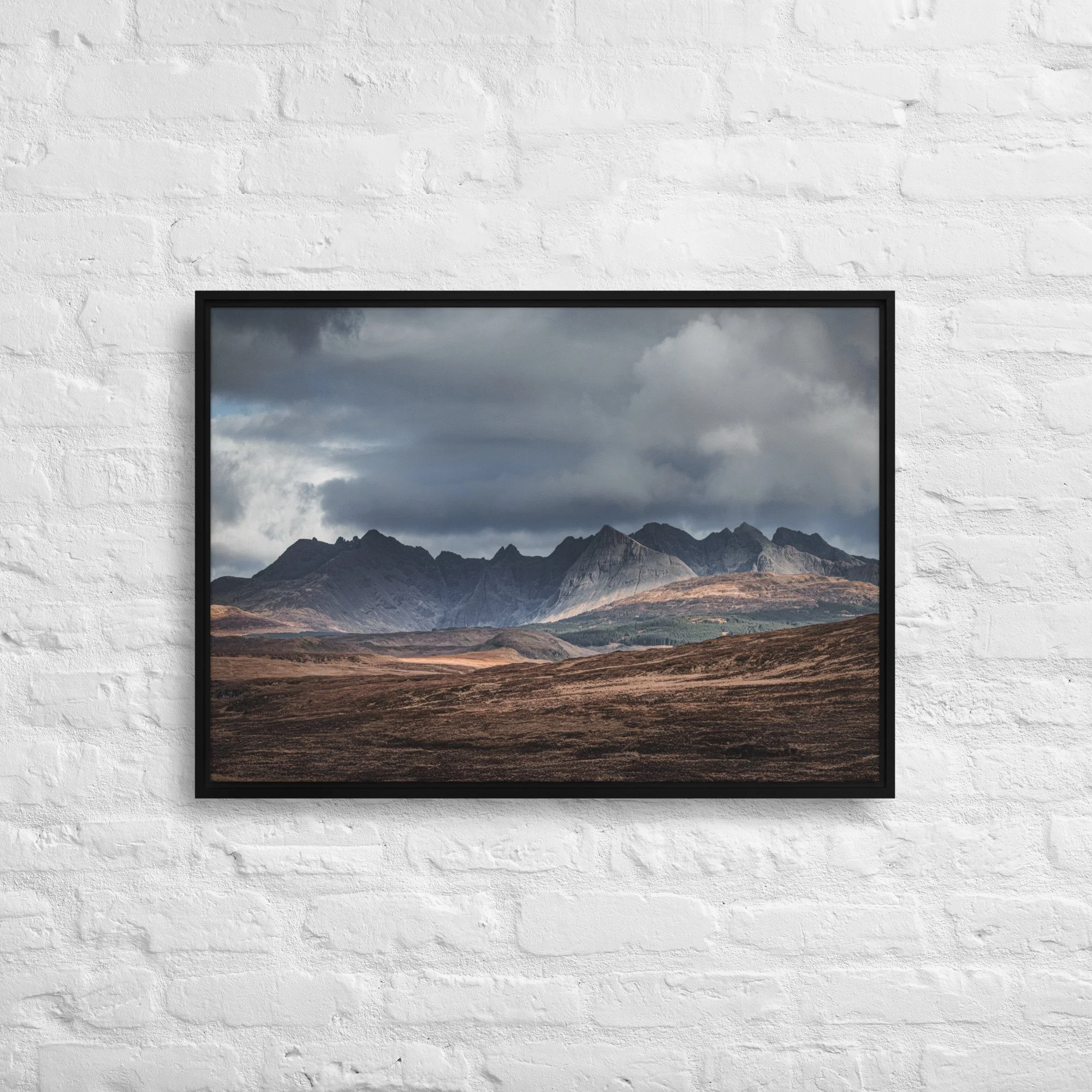 framed-canvas-(in)-black-20x28-front-68a9df603b2ae.jpg