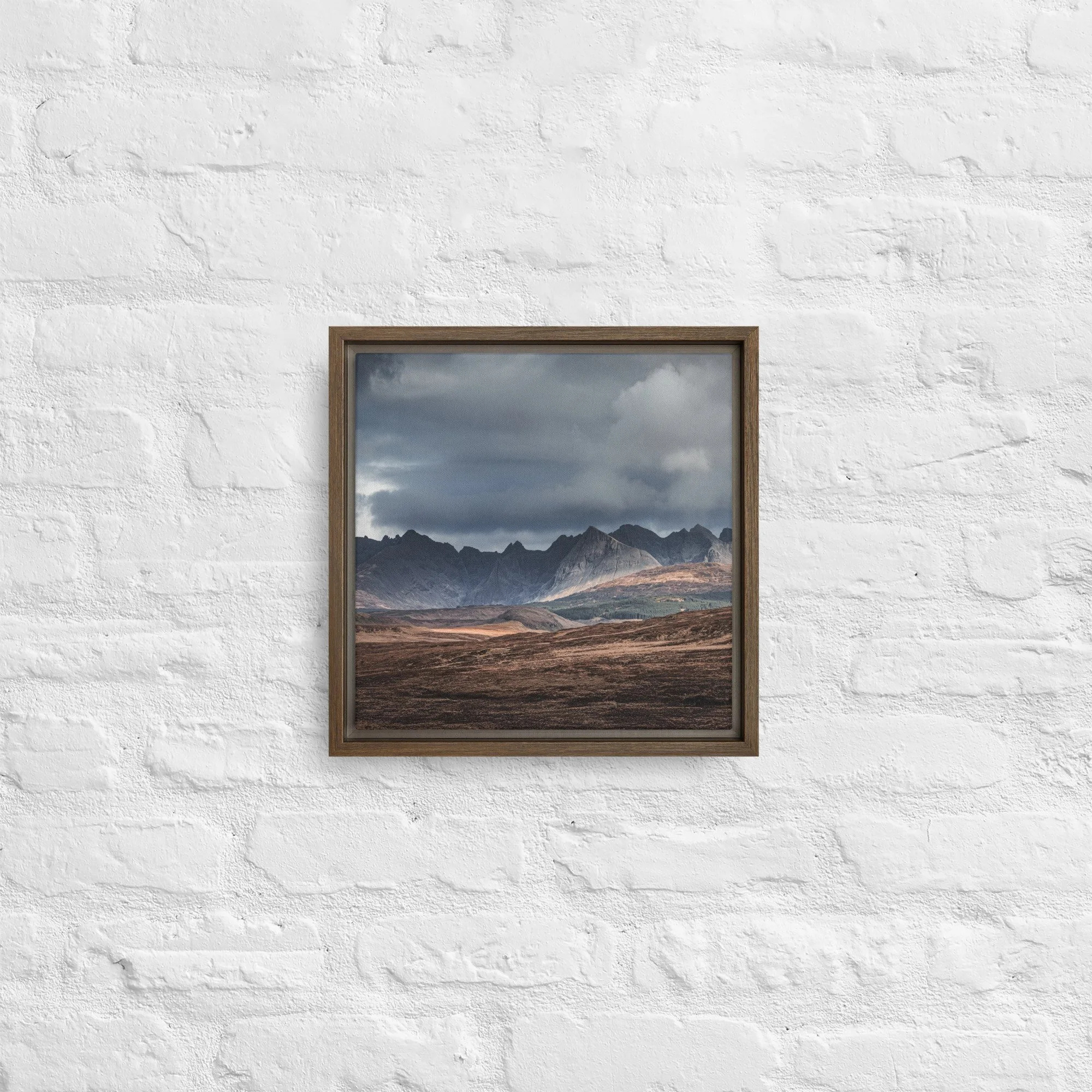 framed-canvas-(in)-brown-12x12-front-68a9df603b50b.jpg