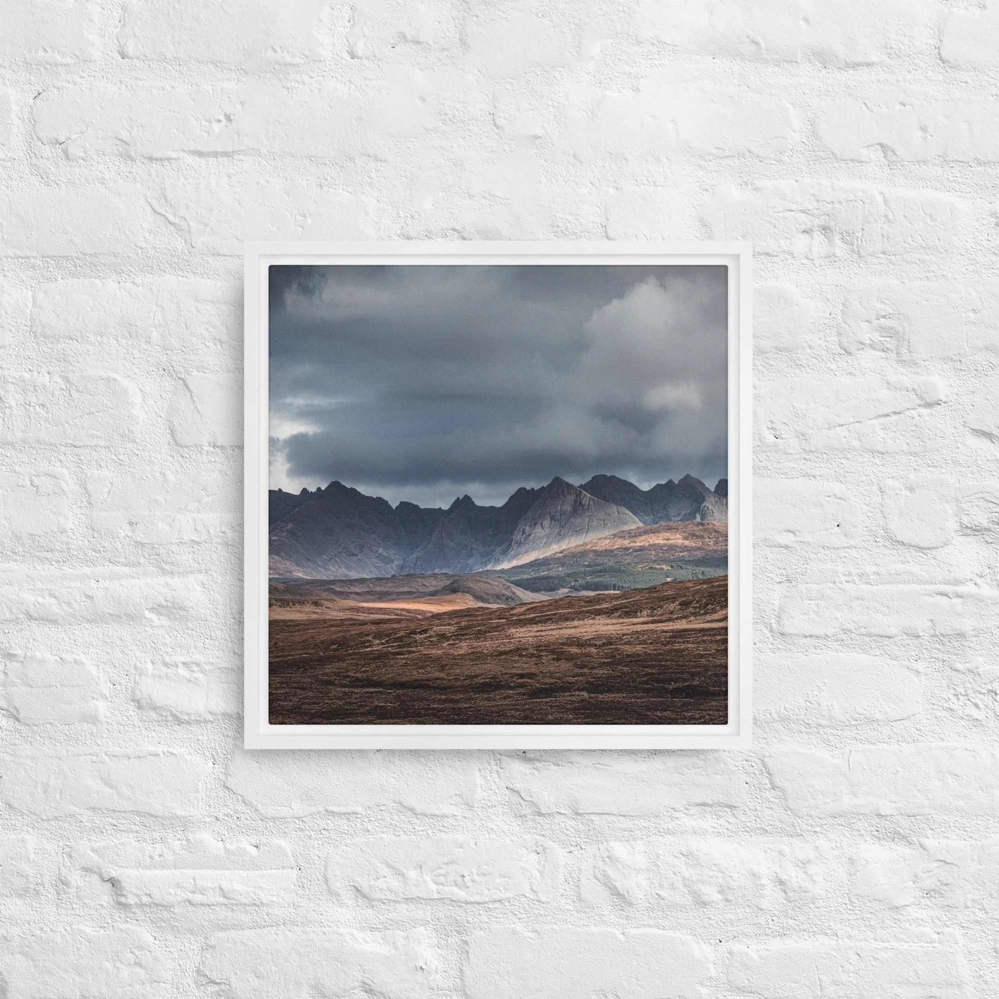 framed-canvas-(in)-white-16x16-front-68a9df603ba64.jpg