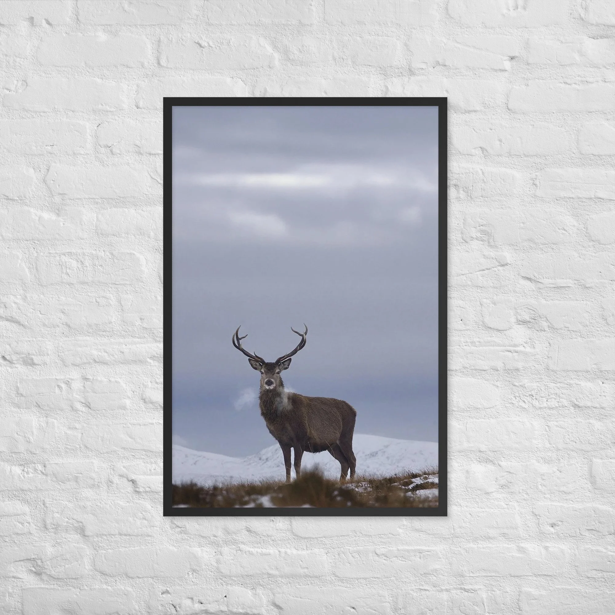 enhanced-matte-paper-framed-poster-(in)-black-24x36-front-68b2e428964a9.jpg