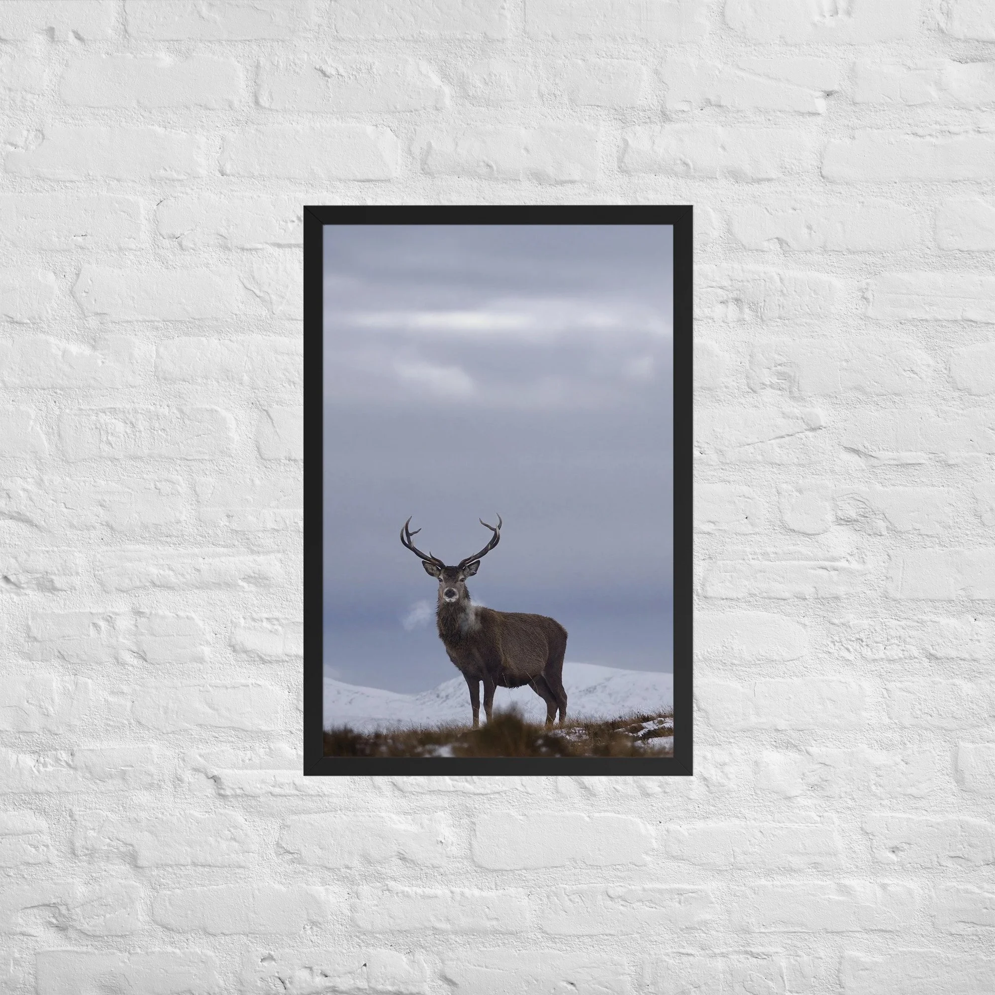 enhanced-matte-paper-framed-poster-(in)-black-20x30-front-68b2e4289756d.jpg
