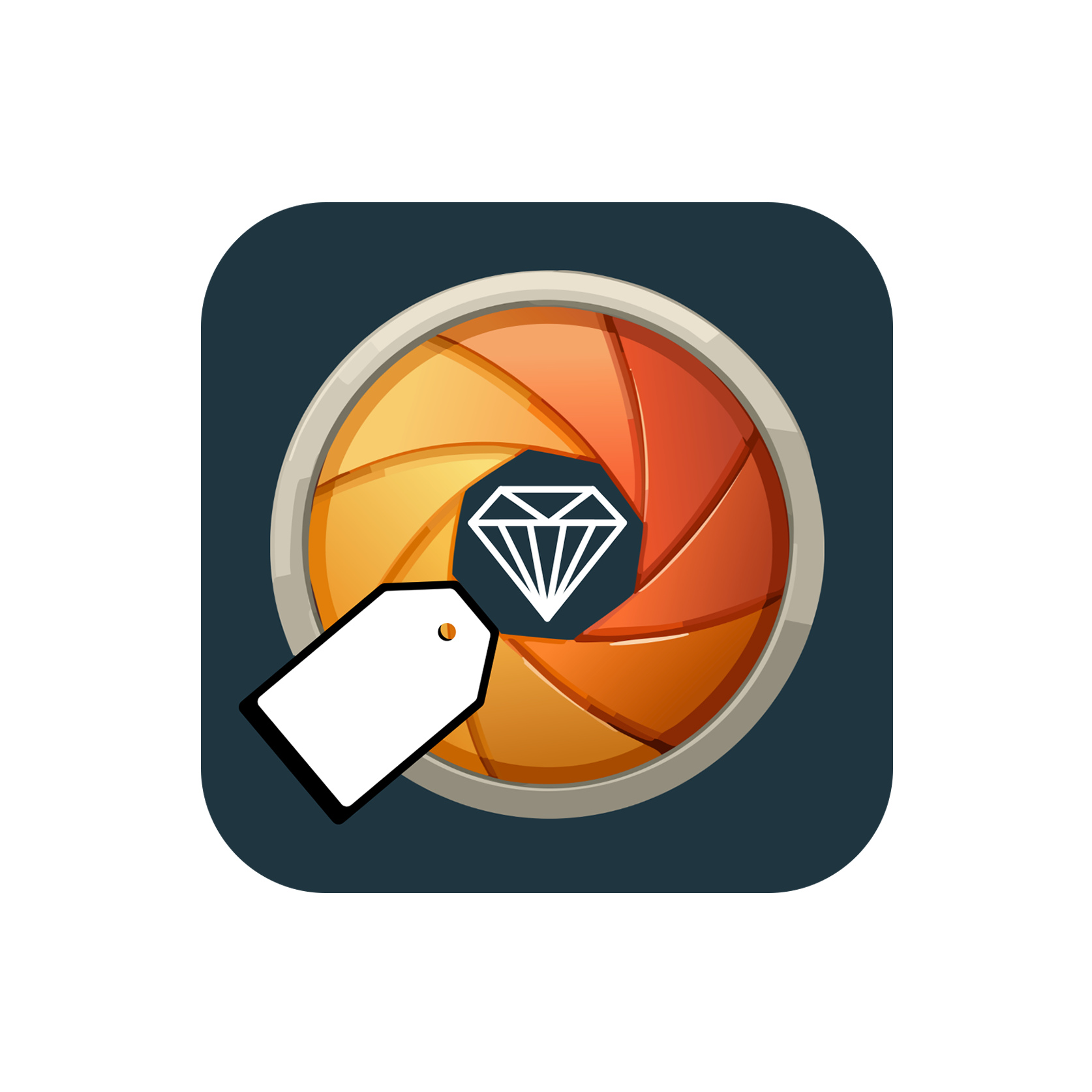 LENSTAG PREMIUM copy.png