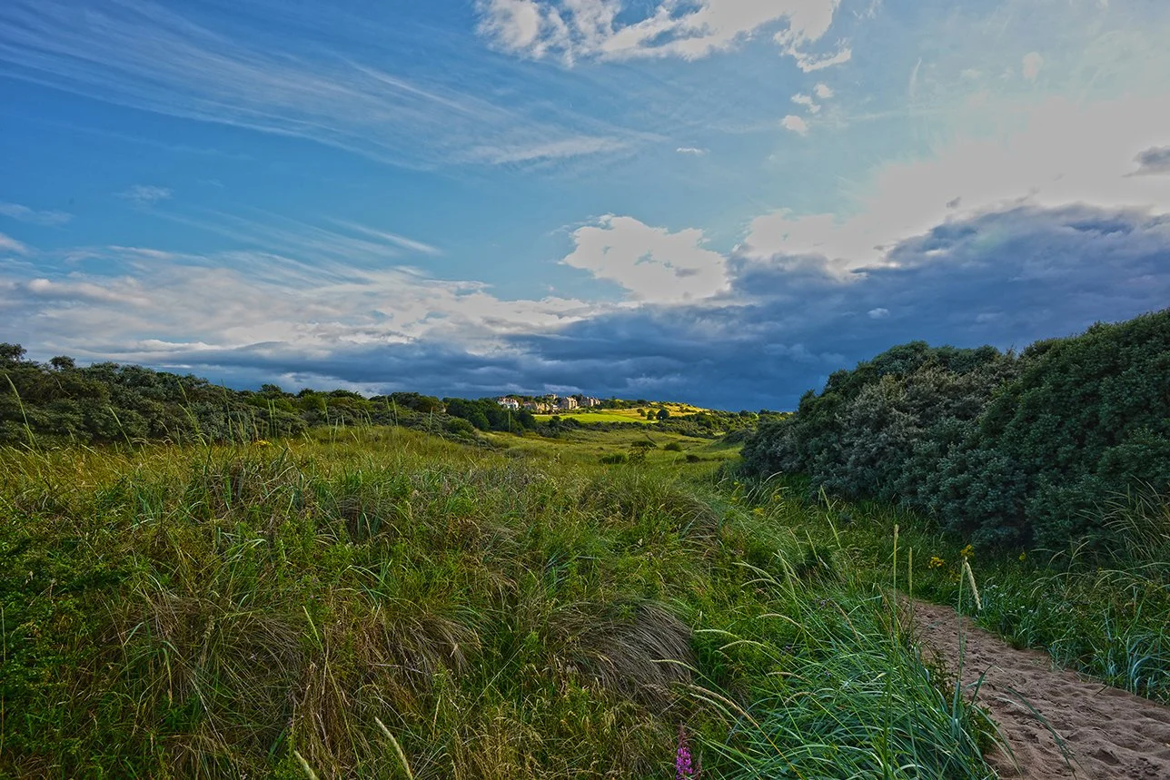Gullane  .jpg