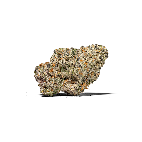 Dr J