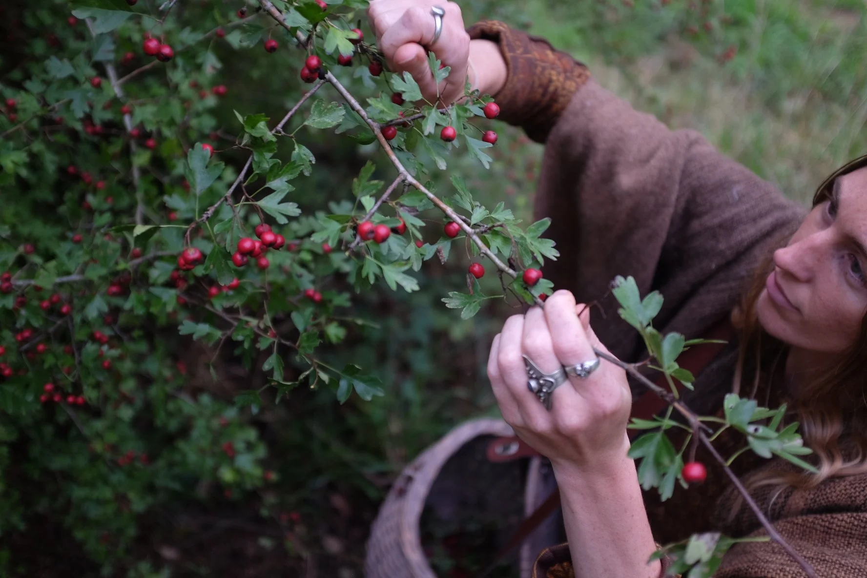 CFC507AF-1CCF-4E02-8F62-18D5A1F25A03-503-00000037C6862B28 2.JPG