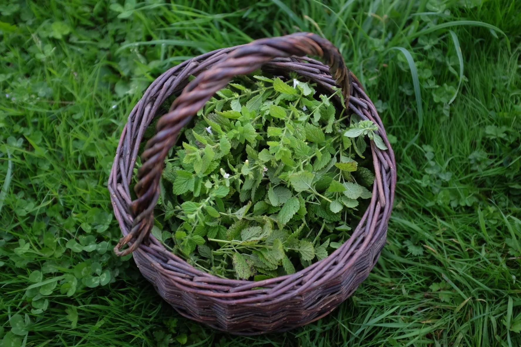 5430E2EF-2408-420D-A962-24D795A8B3A7-503-0000003A51DBD029 2.JPG