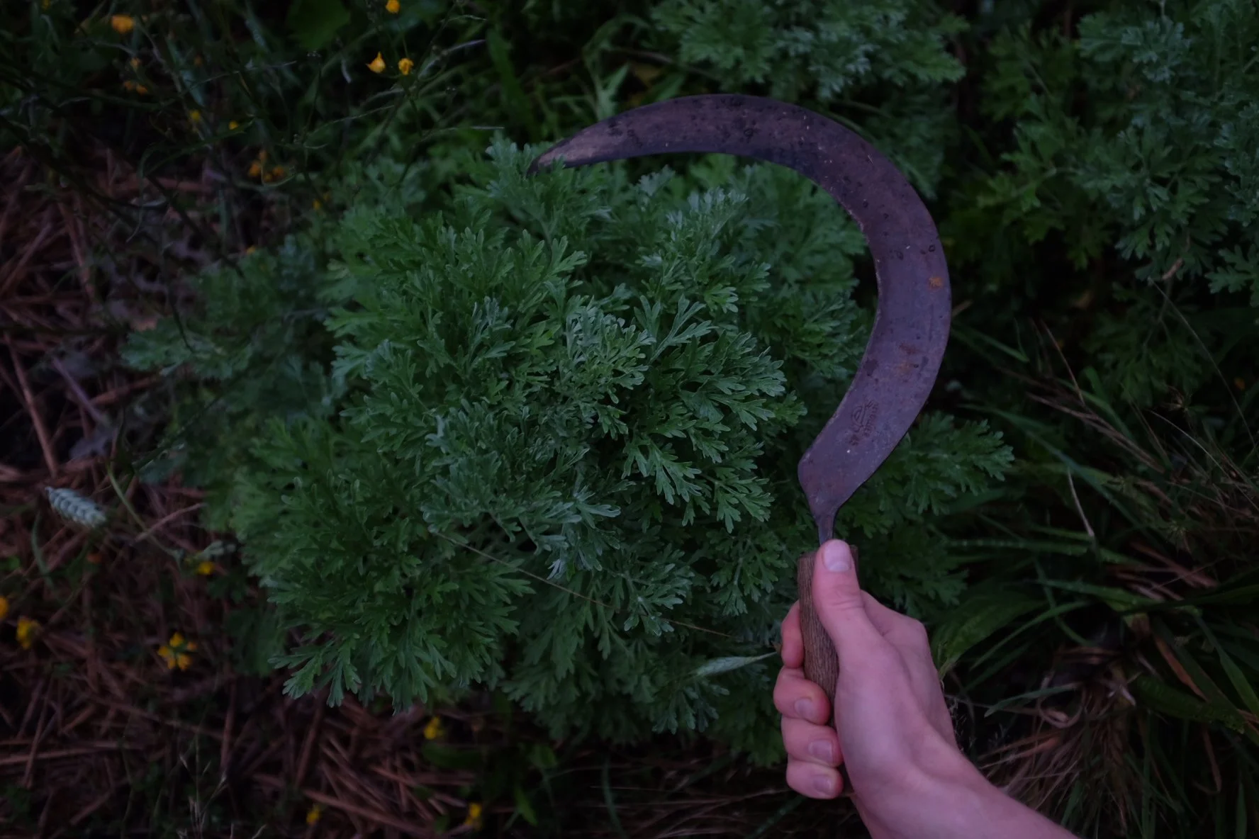 75C1A806-64DC-4385-8313-1D7EAF0AA484-503-0000003C228B4857 2.JPG