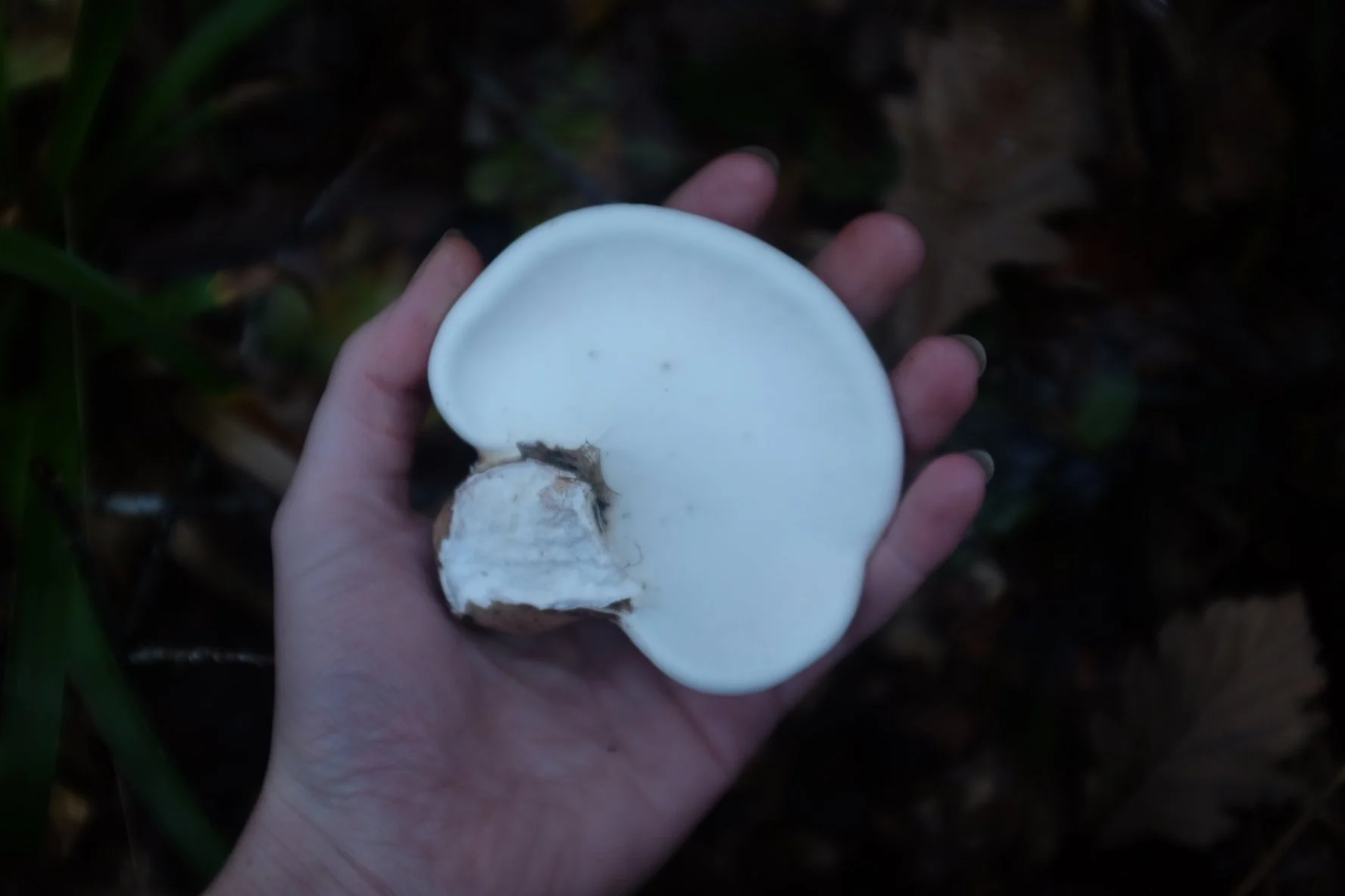 7AF78A98-9DCB-45D6-AA30-1C742CD9F30B-503-00000035432891D9 2.JPG