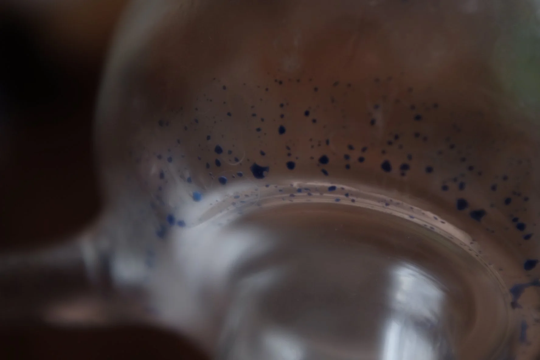 C8D84853-0F60-40AA-8842-9B30F4ABE44C-503-000000367115B891 2.JPG