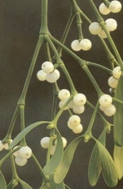 Screenshot 2025-02-03 at 16.18.13.png