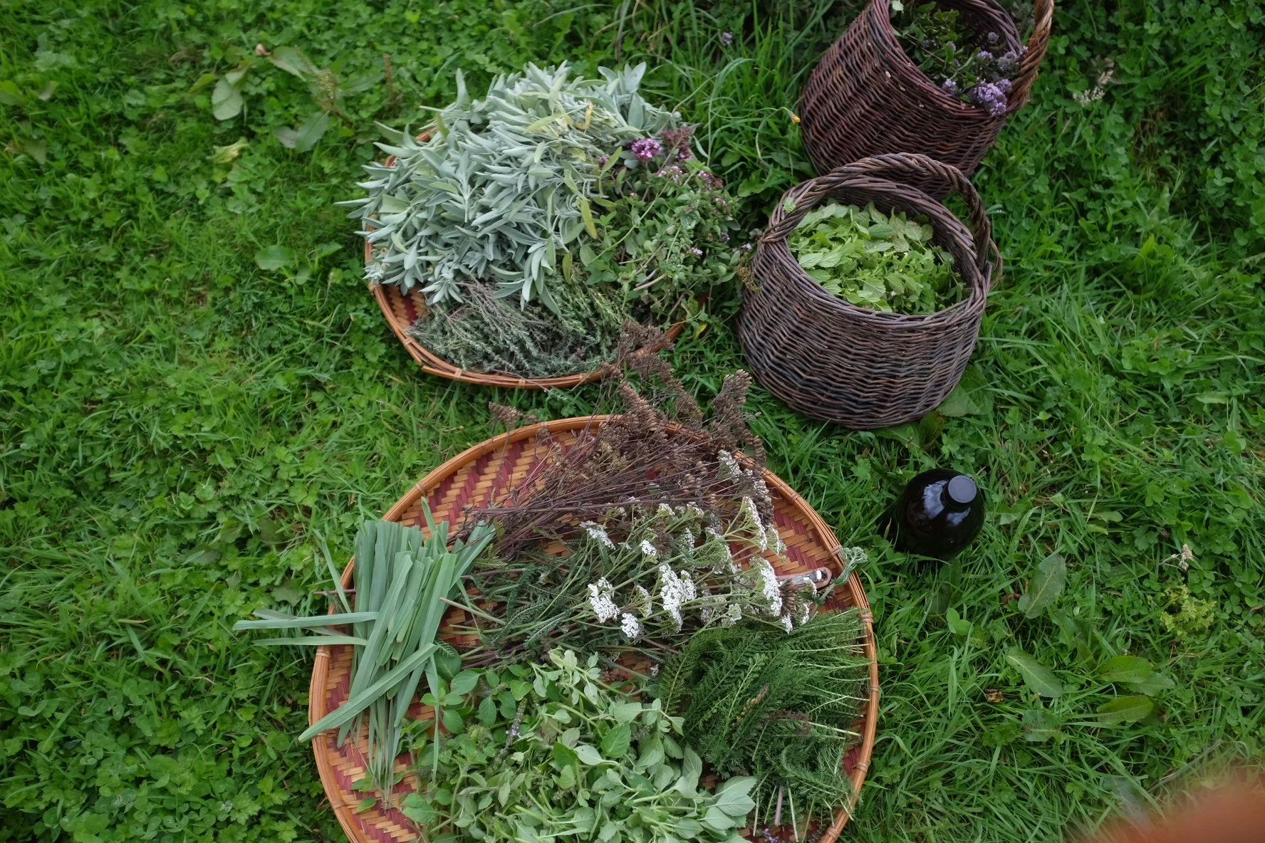 76A68D7F-167D-4D04-B7DB-9484F4E0EE51-503-000000364B9346D9 2.JPG