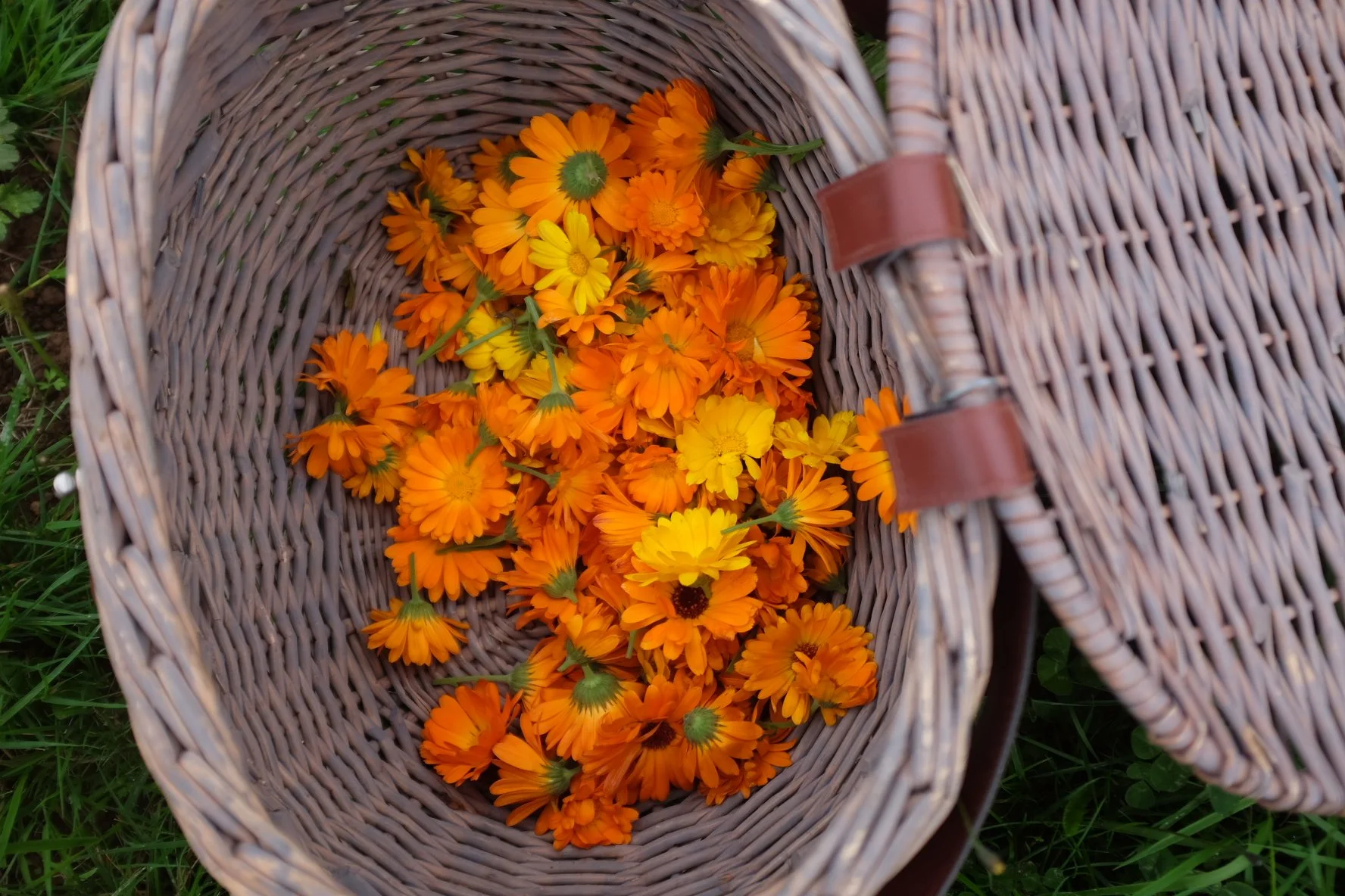 D7C5FD41-4CD8-480A-9EBC-A15B113473D2-503-0000003632186715 2.JPG