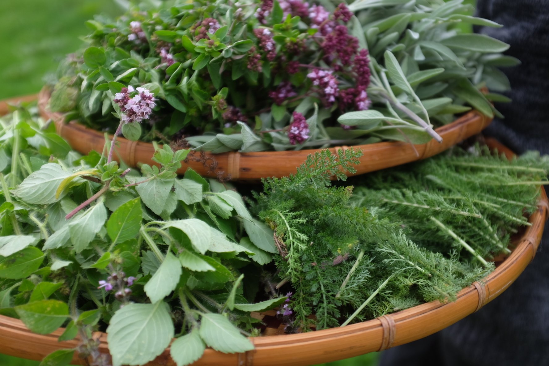 1FDB4987-5F69-4CC0-9F2B-3D56453D15C0-503-00000036544E021D 2.JPG