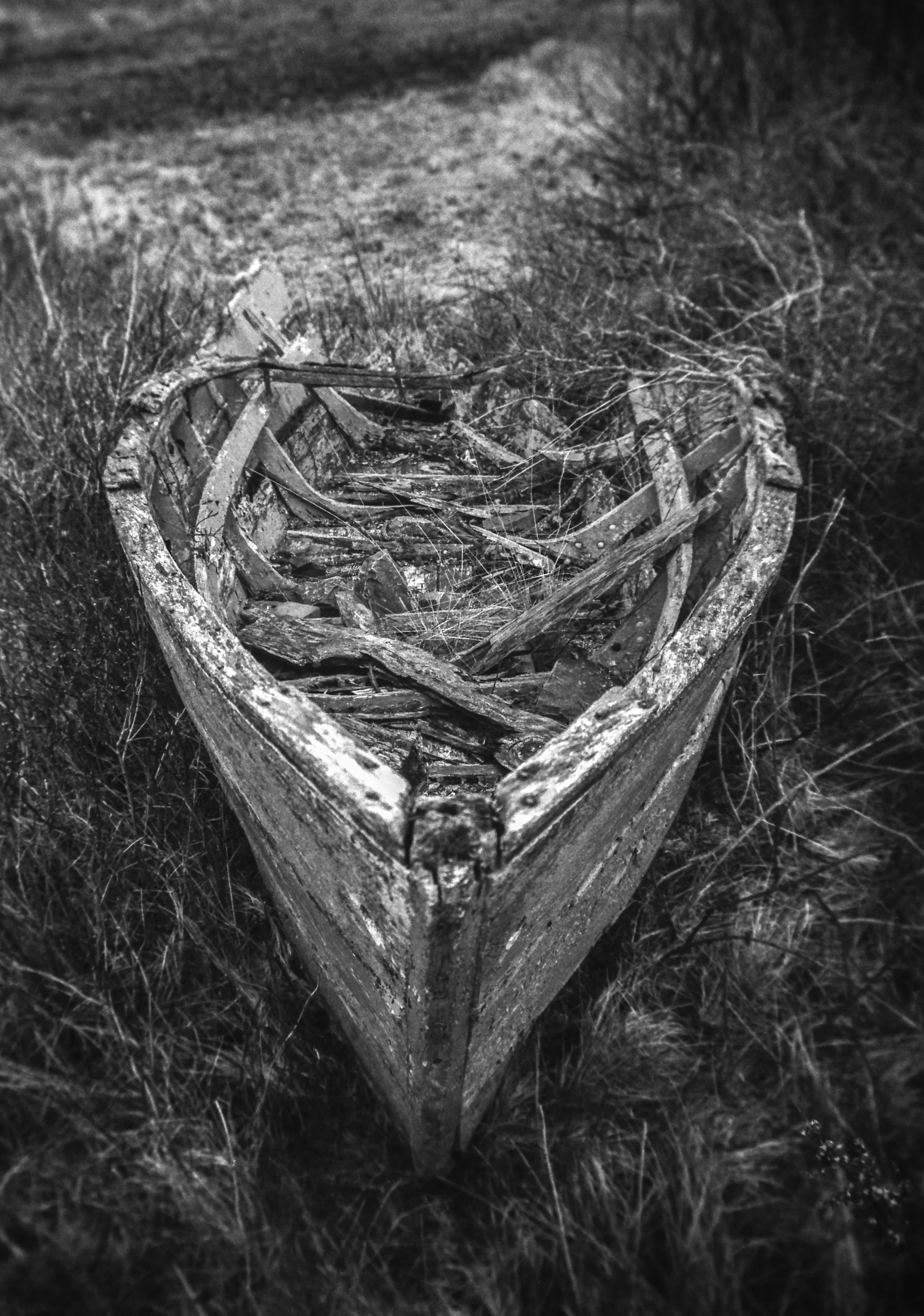 OldDoryBW57.jpg