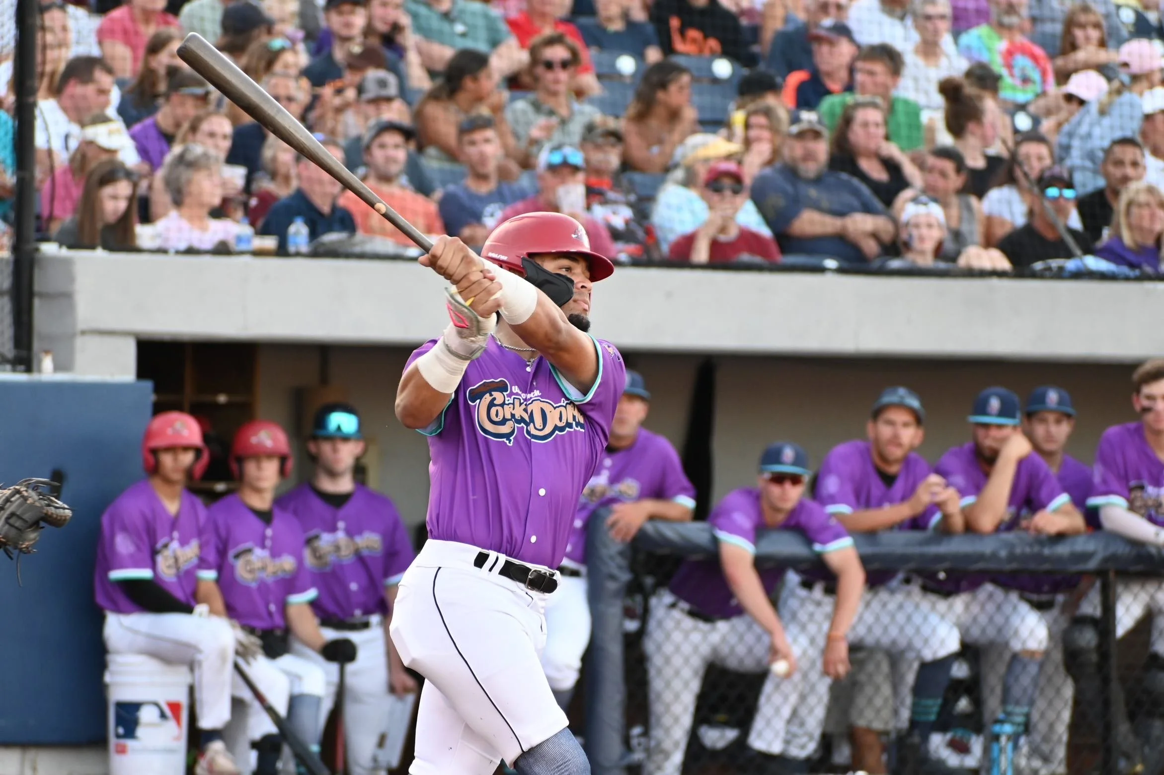 Up North Cork Dorks — Jack Powers Design