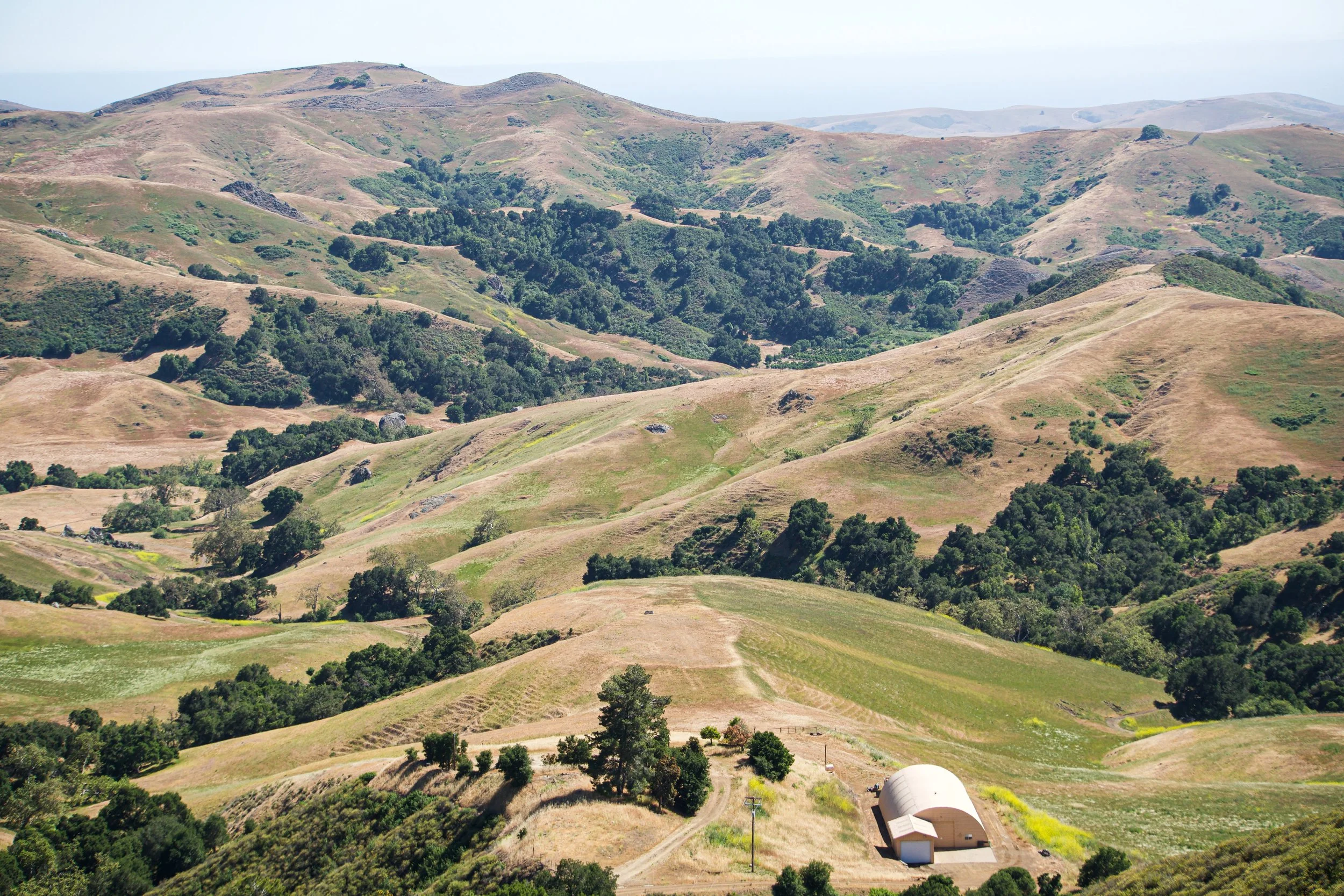 fileds + hills