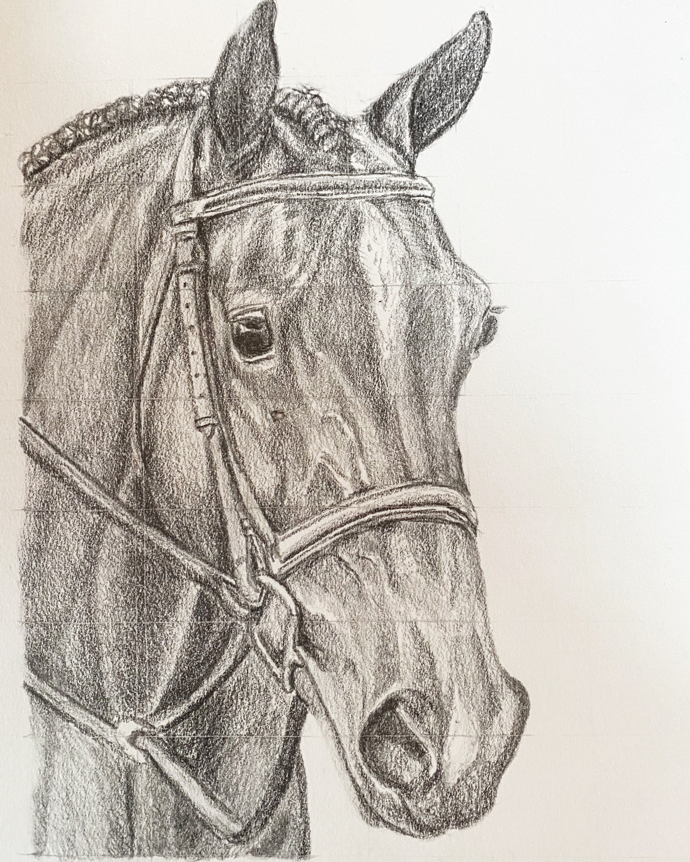 Custom Horse Head Portrait