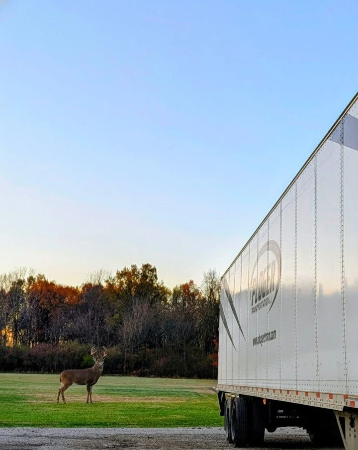 A beautiful morning here at the Ploger terminal!

The day is starting off with a pretty cool sight: a nice whitetail buck is grazing in the back field, not too far from a Ploger trailer. You just never know what you'll see! 🦌

Wishing everyone a fan