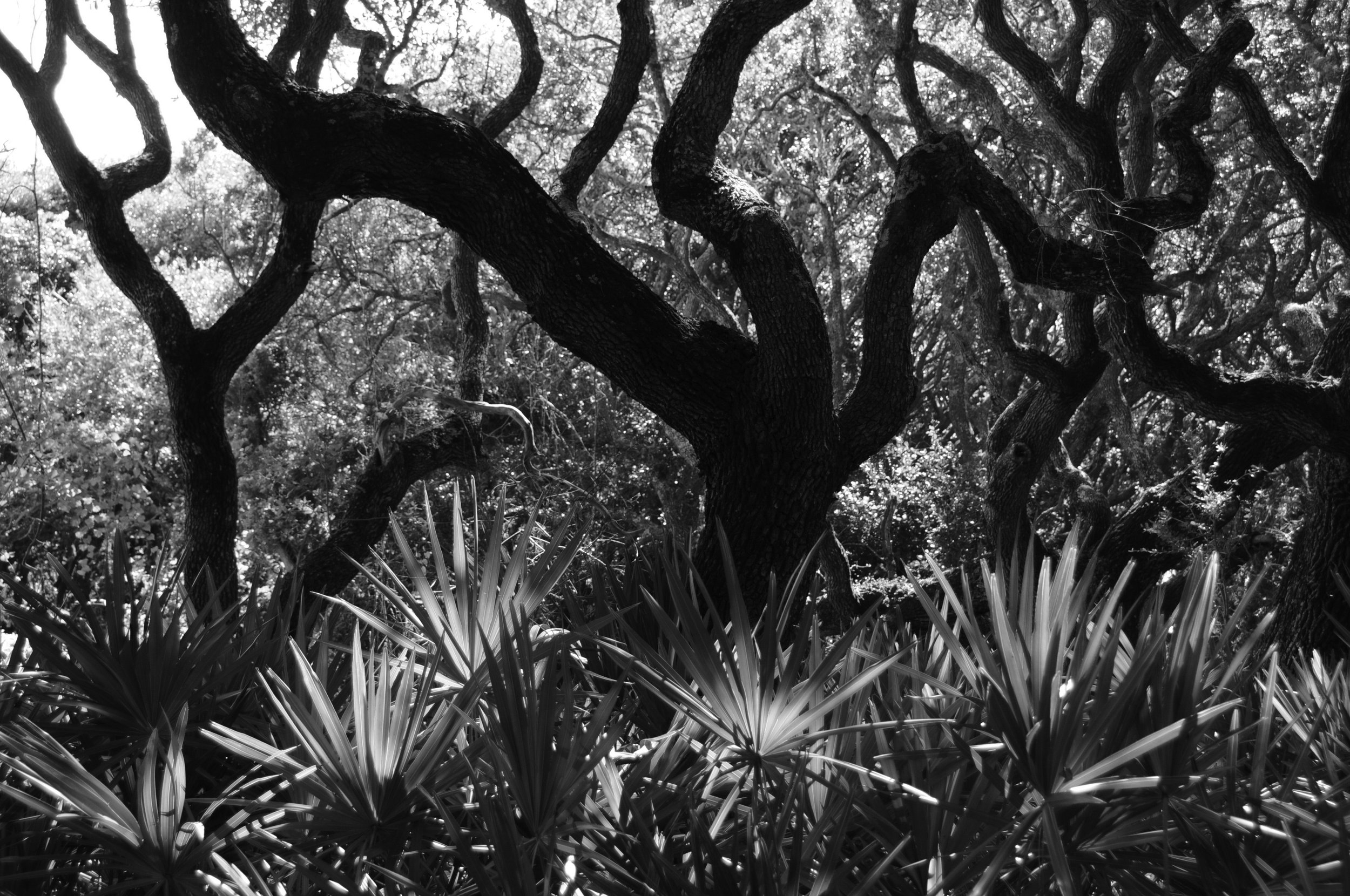 waterside35grayscale.jpg