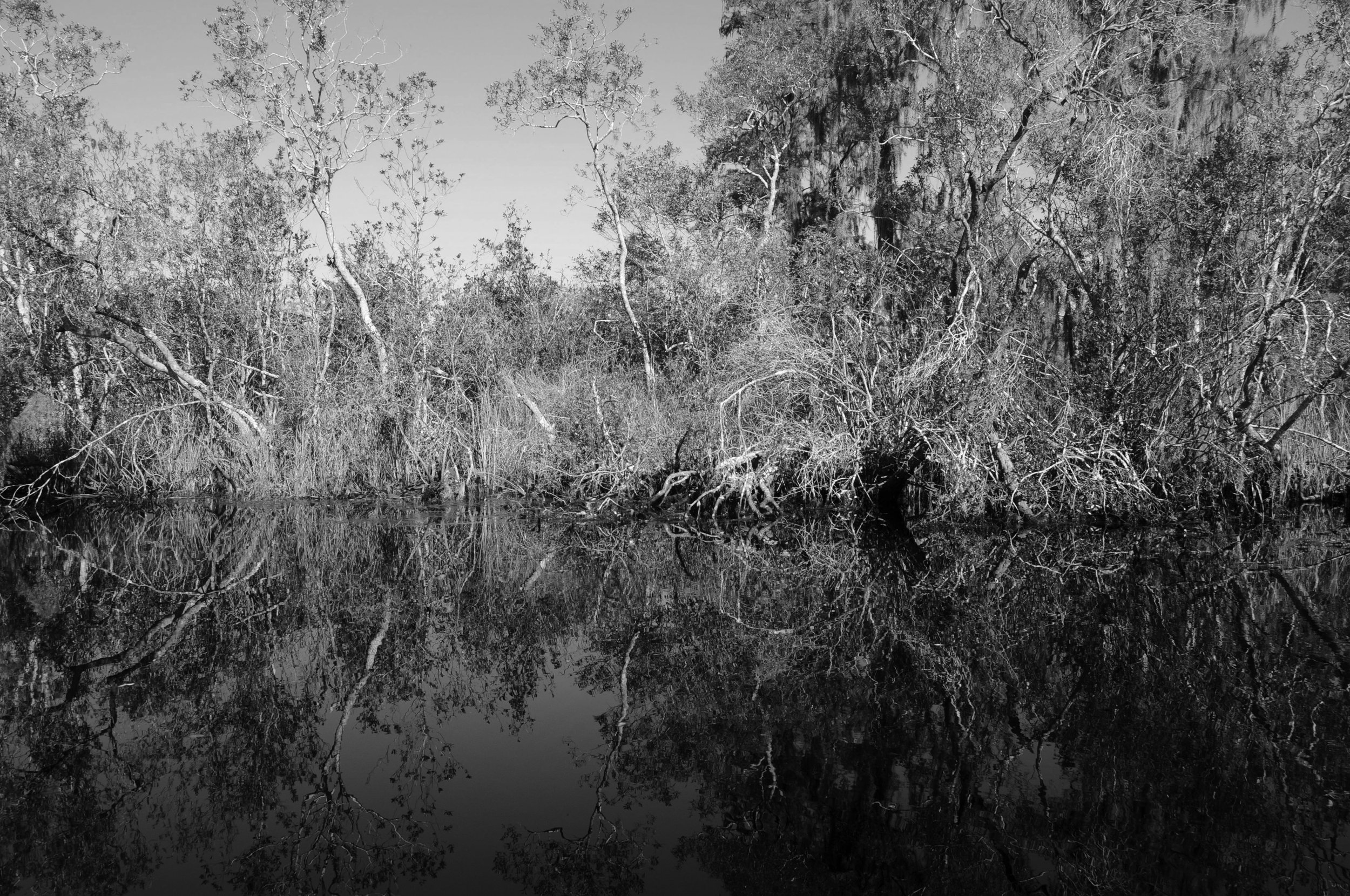 reflections67grayscale.jpg