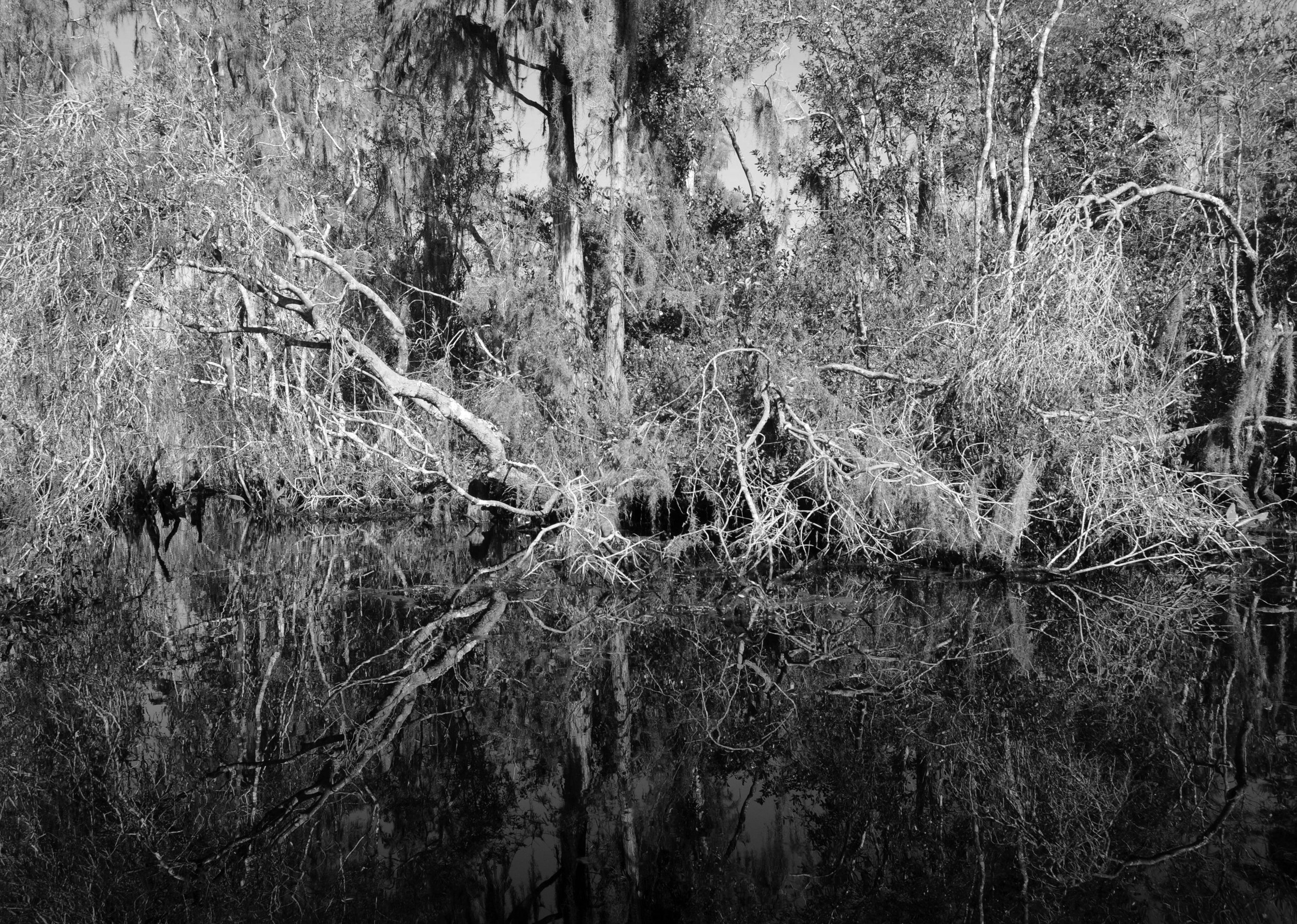 waterside16grayscale.jpg