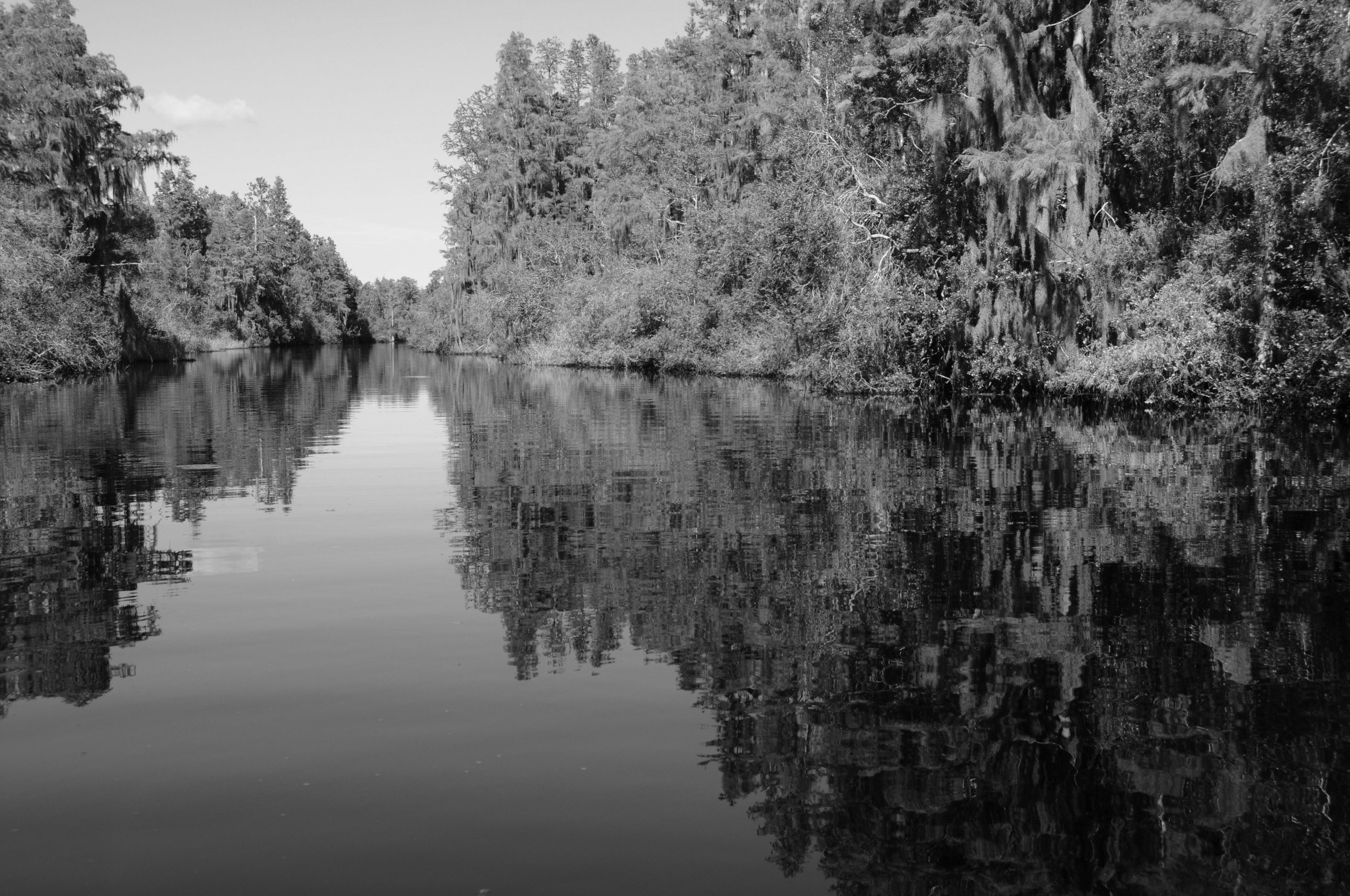 waterside25grayscale.jpg