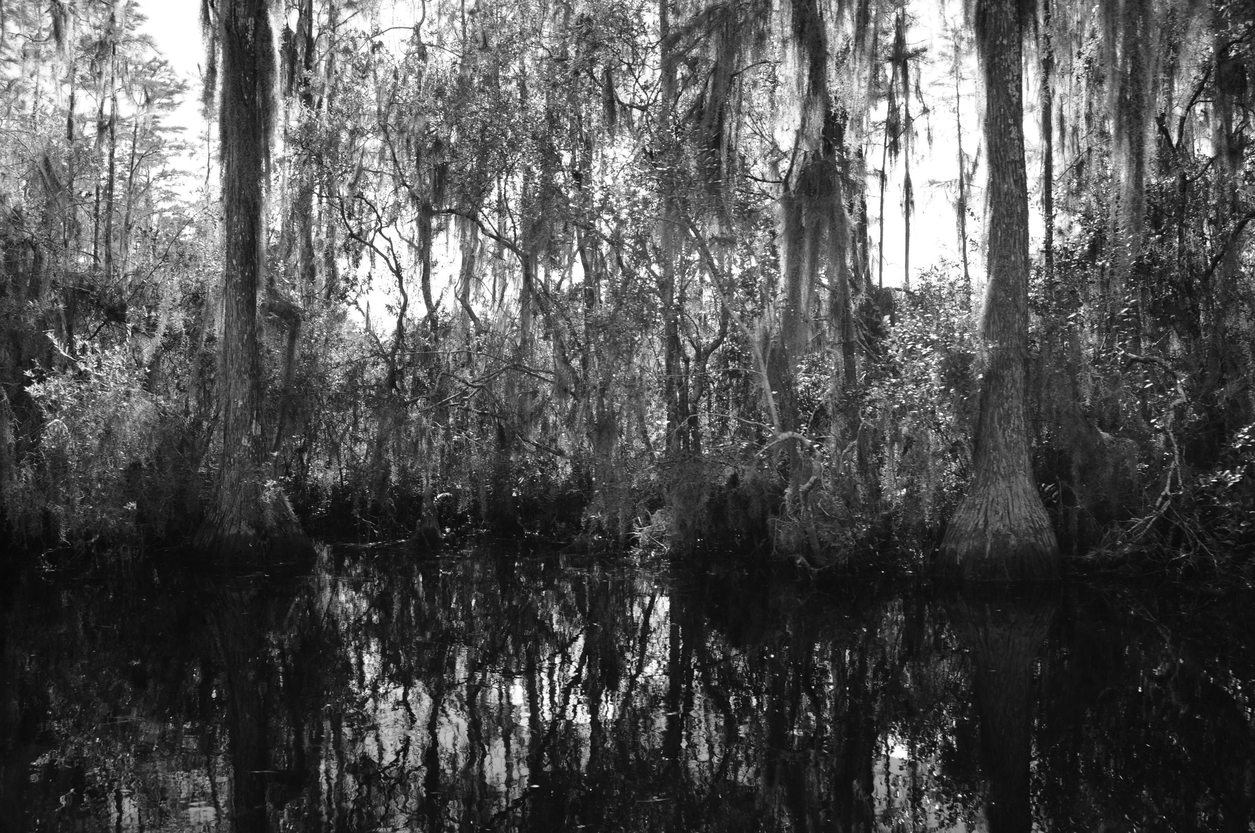 waterside92grayscale.jpg