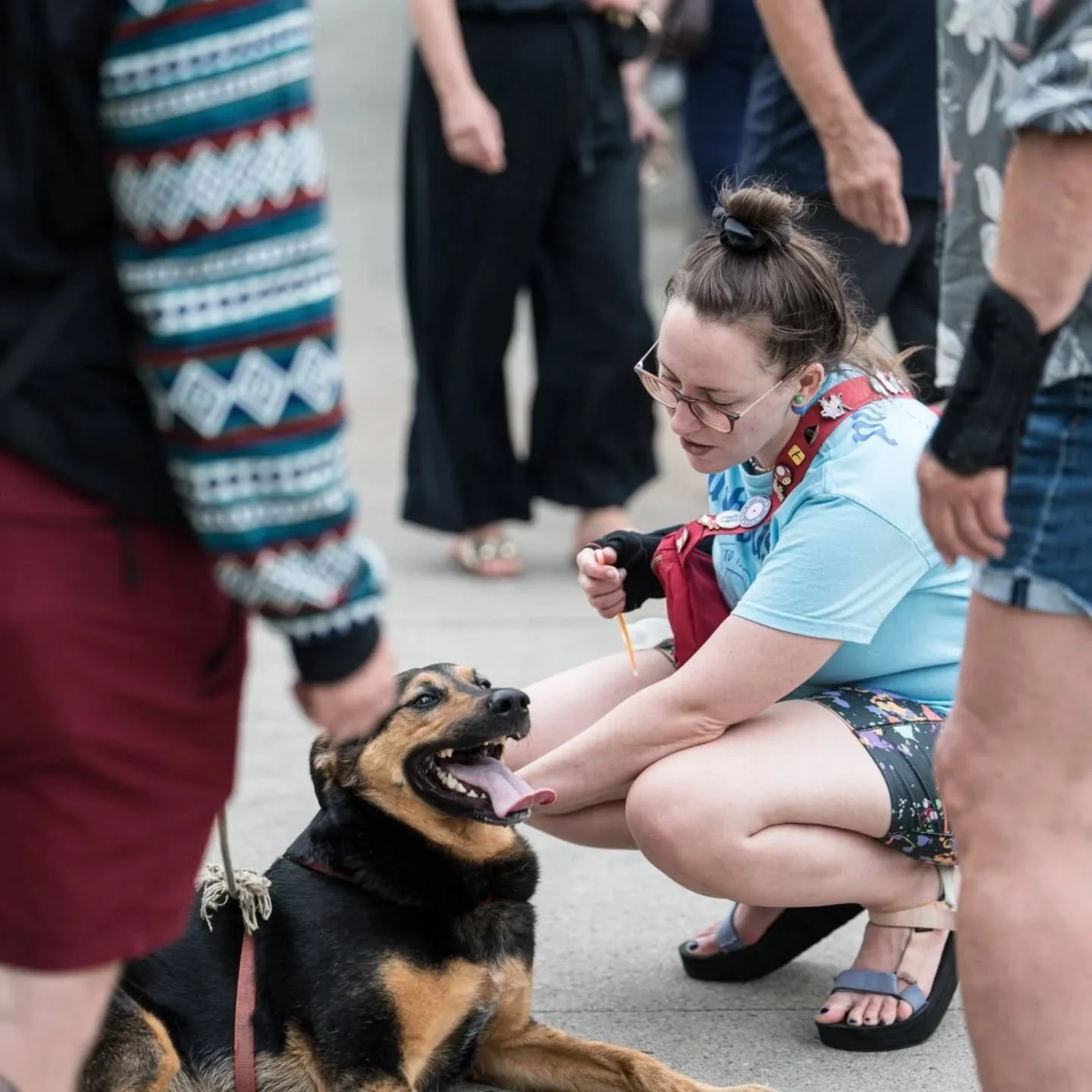 Thinking about all the dogs we met at last year's festival.🐾 Hope we get to meet your paw-some friend this year!