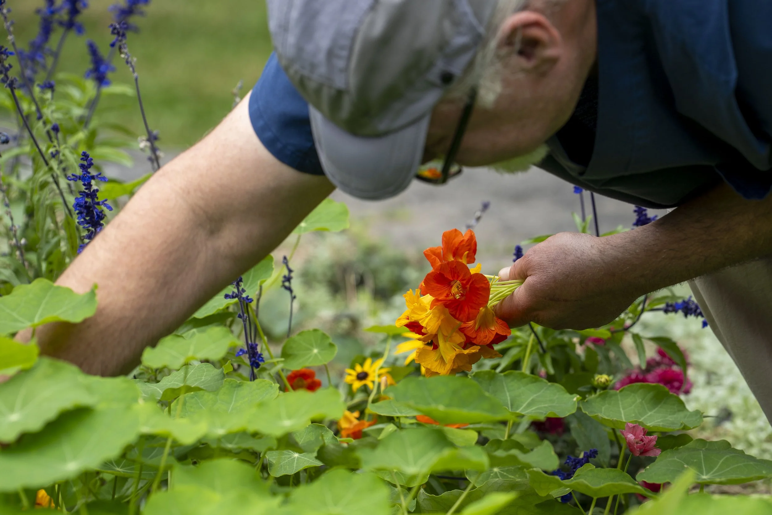DSC04274.jpg