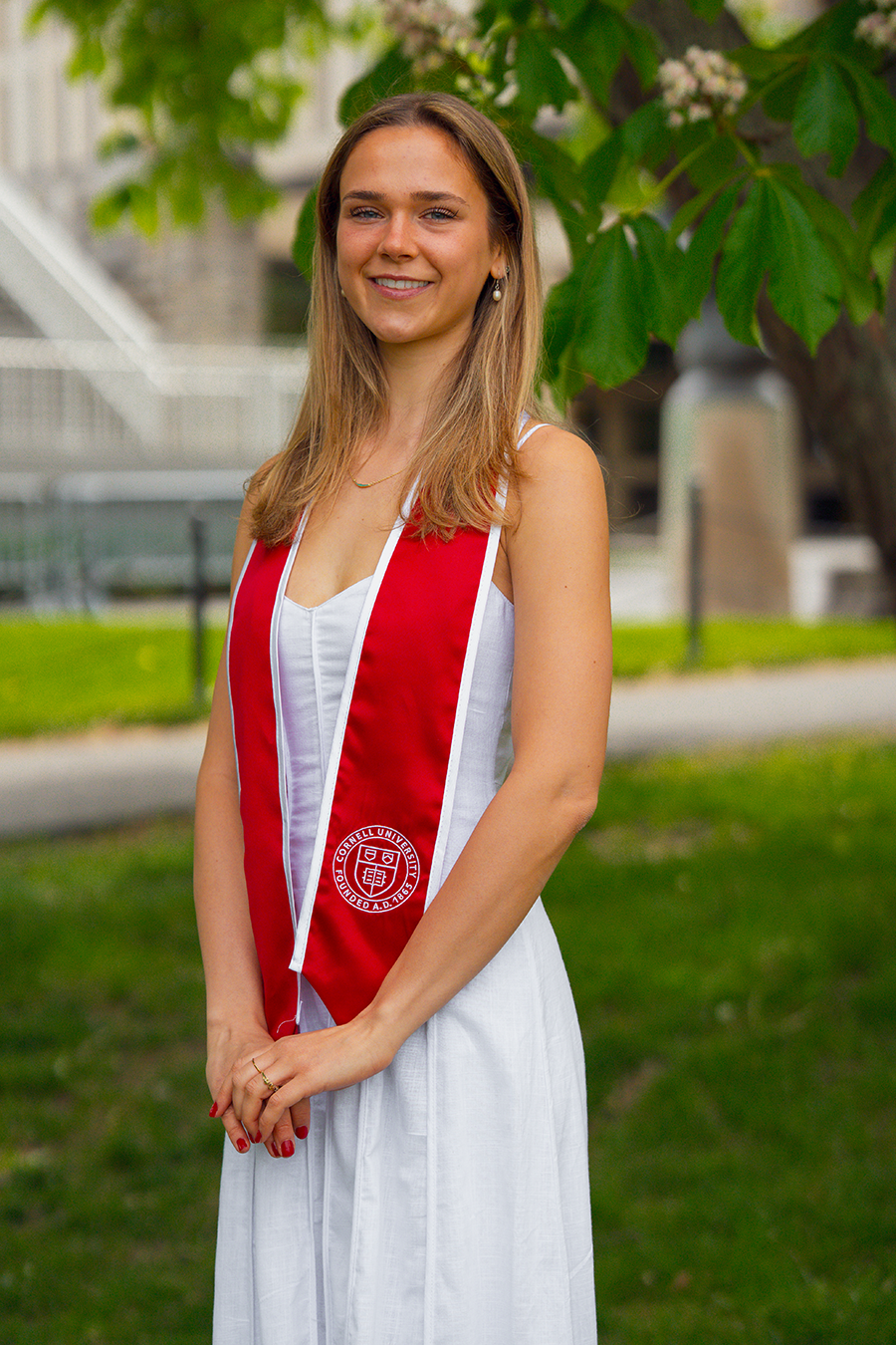 grad_12.png