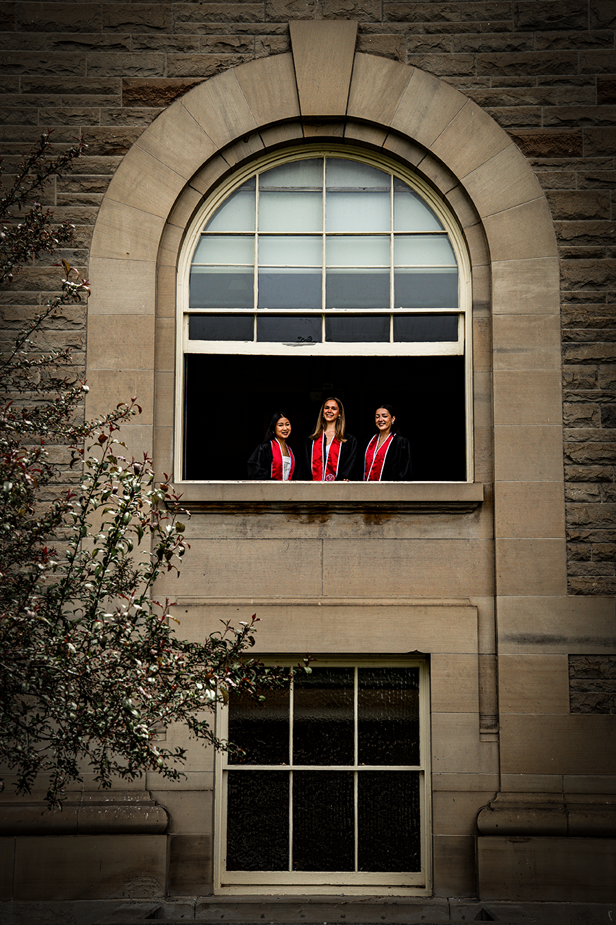 grad_06.png