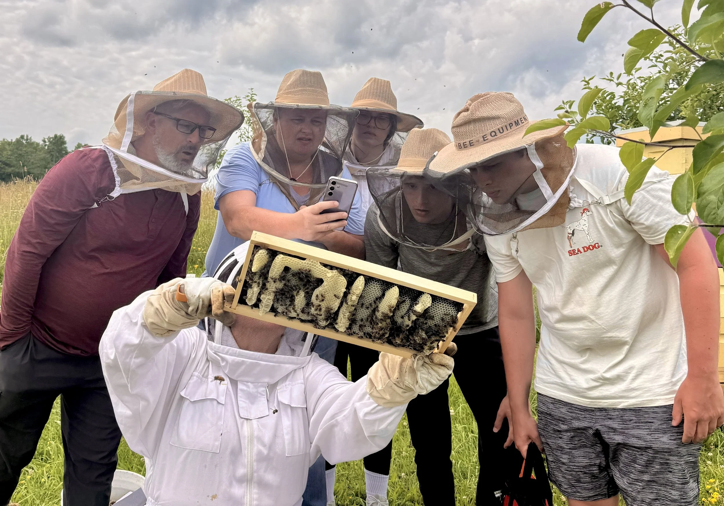 Add an Apiary Tour to your day
