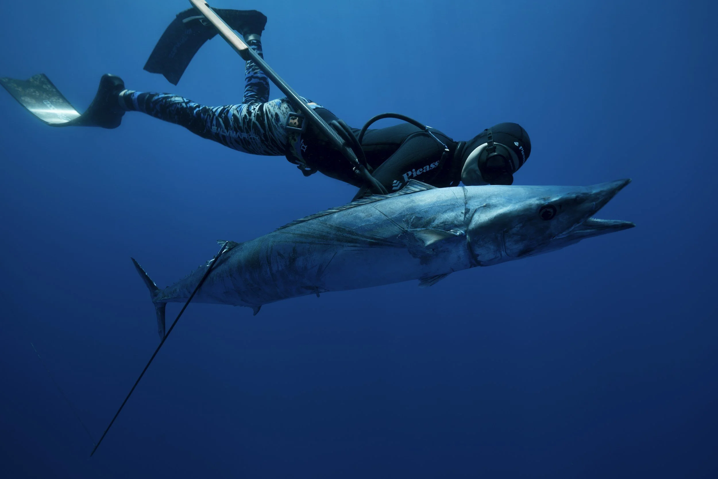 A scuba diver in patterned wetsuit and black gear holding a large marlin fish underwater.