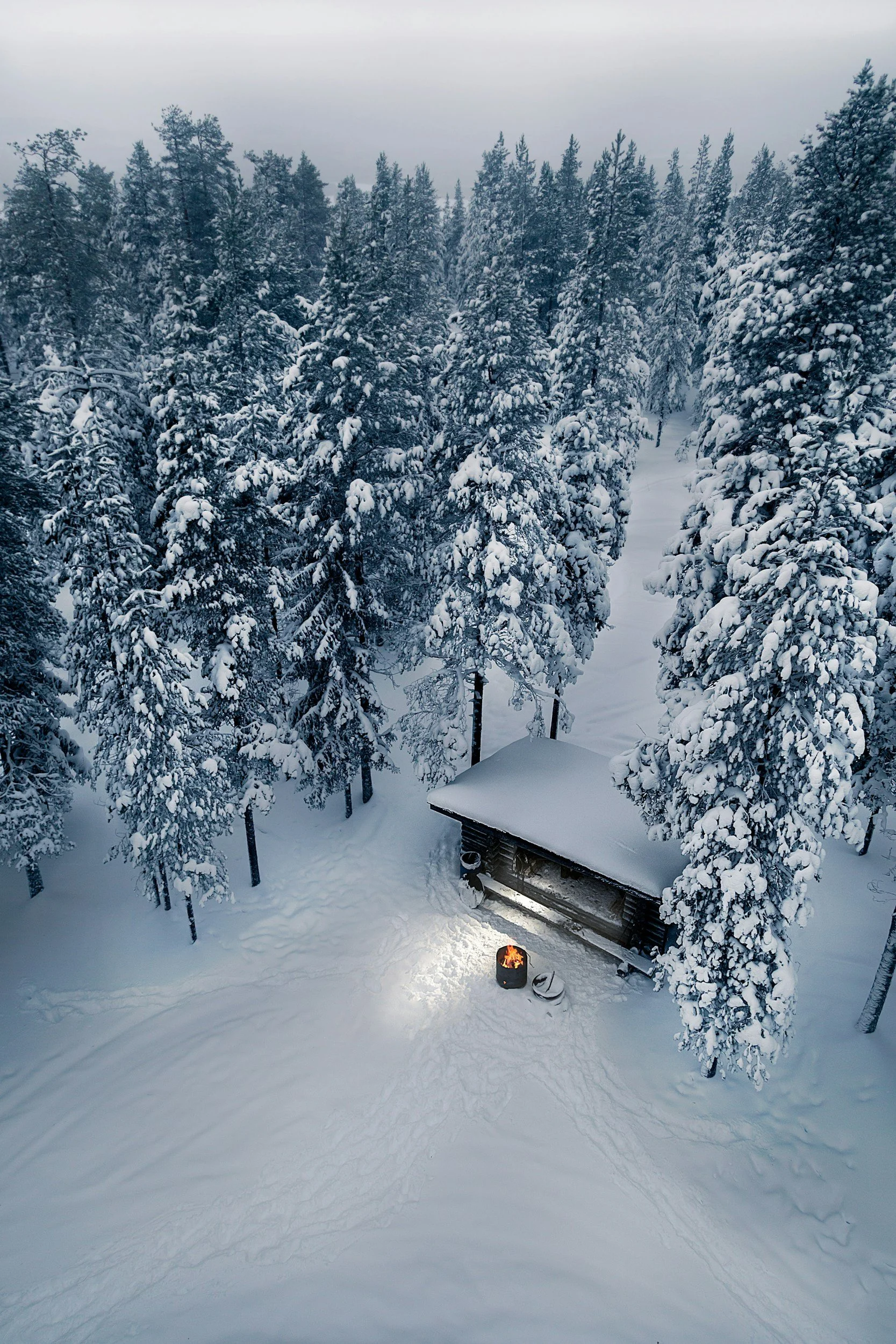 Snow-covered forest with tall trees, a small cabin with snow on its roof, a lit campfire, and a snow-covered ground with tracks.