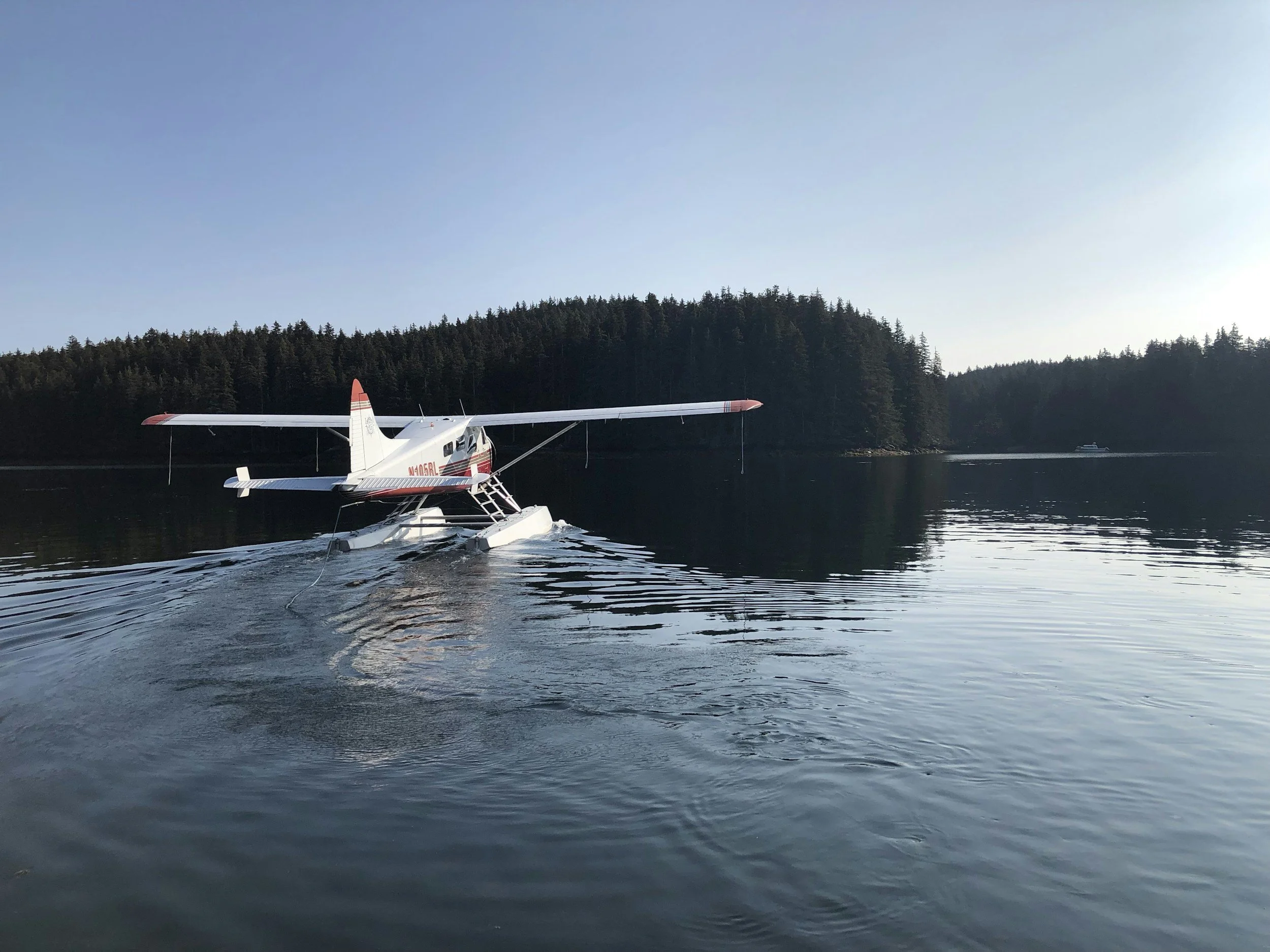 Seaplane on calm water near forested shoreline at sunset.