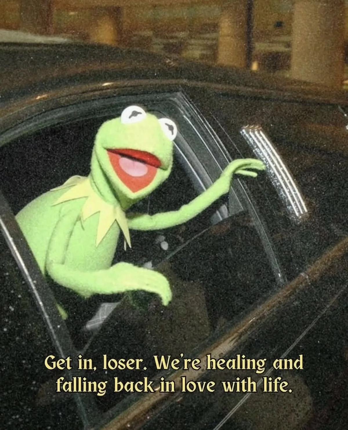 Kermit the Frog puppet in a car window with the caption 'Get in, loser. We're healing and falling back in love with life.'