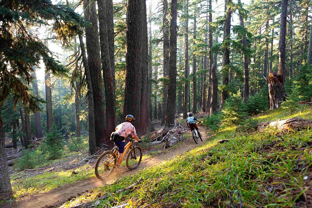 Mountain-biking-1000.jpg