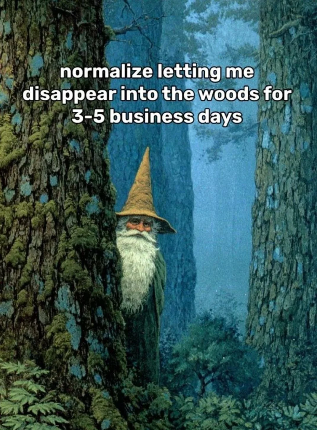 A wizard peeking from between two moss-covered trees in a forest, with a misty background and blue-green hues.