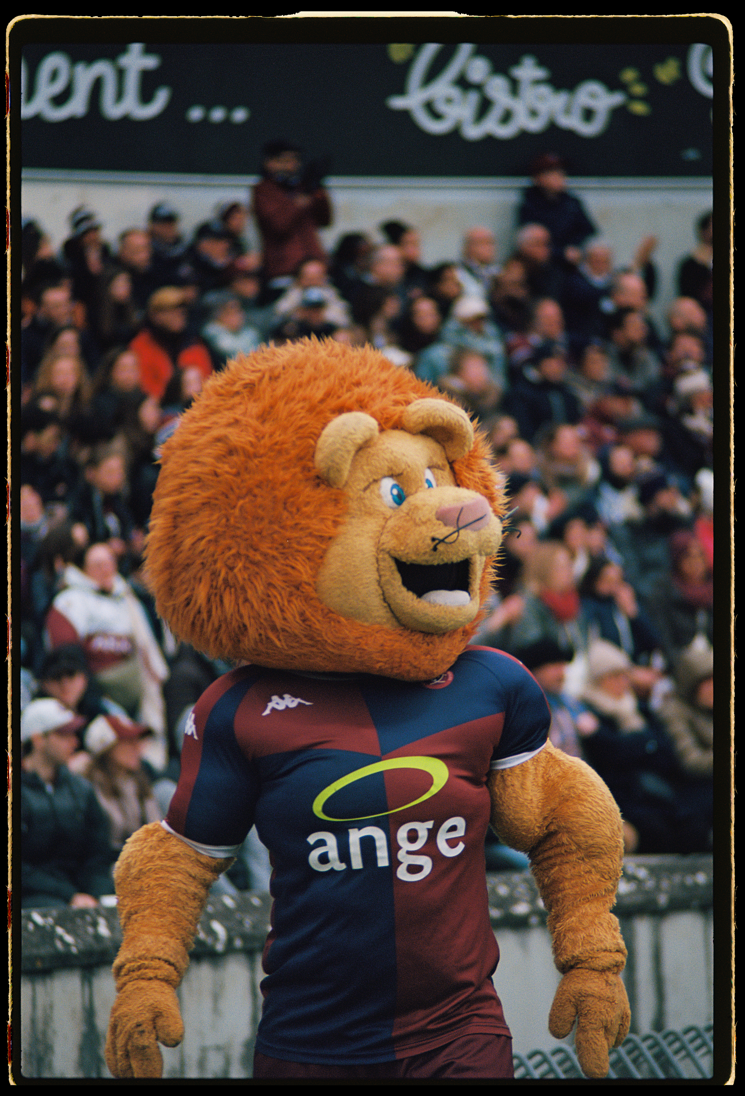 UBB-CO_20260219_Cam-Joslin__Ektar100_018.png