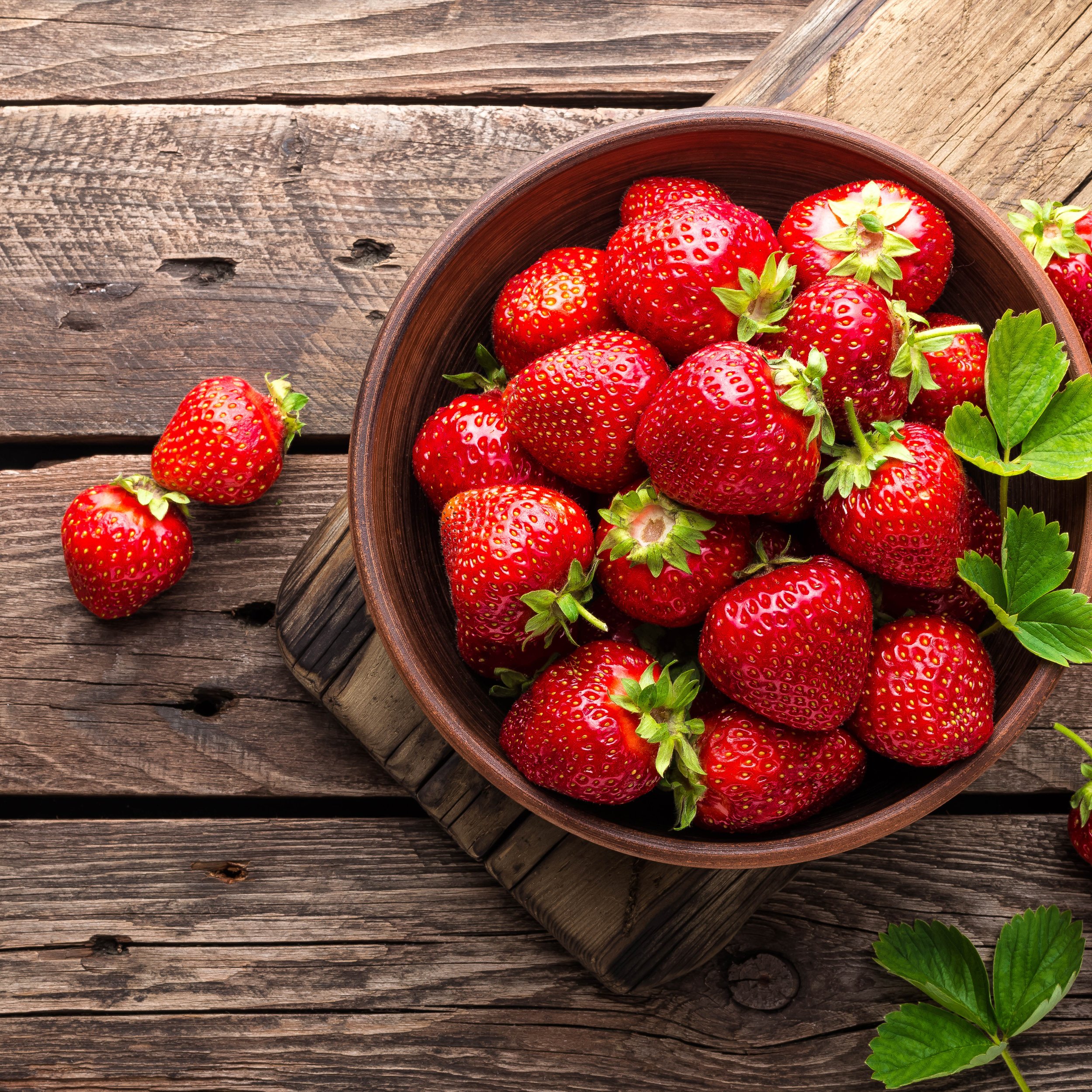 picking_strawberriesv2.jpg