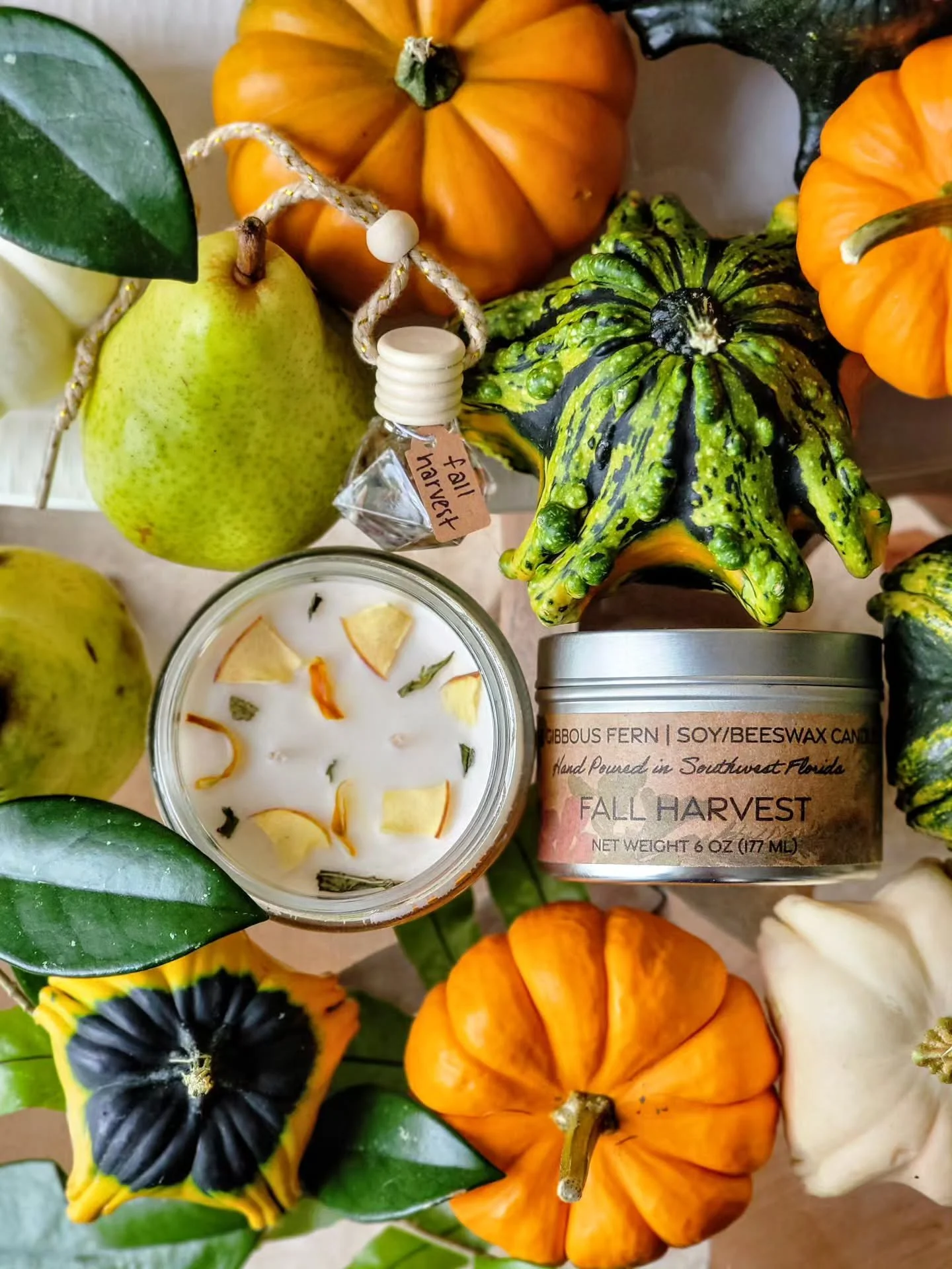 My Fall Harvest is a bounty of heirloom pumpkin, crisp apples, pears, and fresh green leaves. What have you gone to pick at a field in fall?

https://www.thegibbousfern.com/products/p/fall-harvest
Link in bio 🔗 

#thegibbousfern #handcrafted #candle