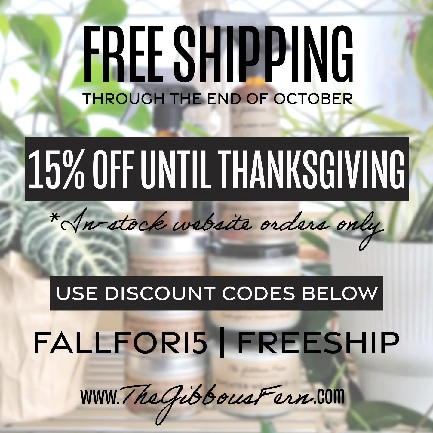 Fall for savings and free shipping! 🍂📨

#thegibbousfern #handcrafted #candles #carscents #cardiffusers #roomspray #linenspray #bocagrande #sarasota #venice #northport #portcharlotte #puntagorda #englewood #southweatflorida