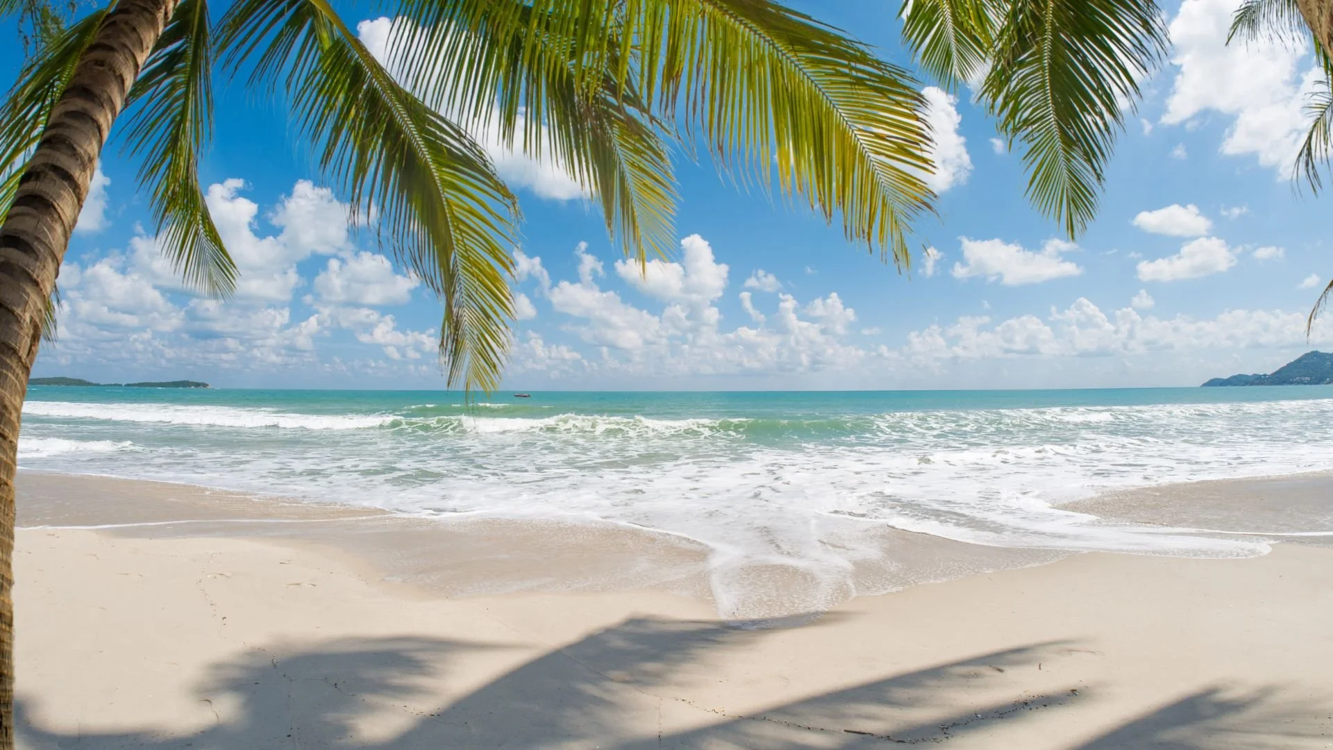The Summer Slowdown: Debunked